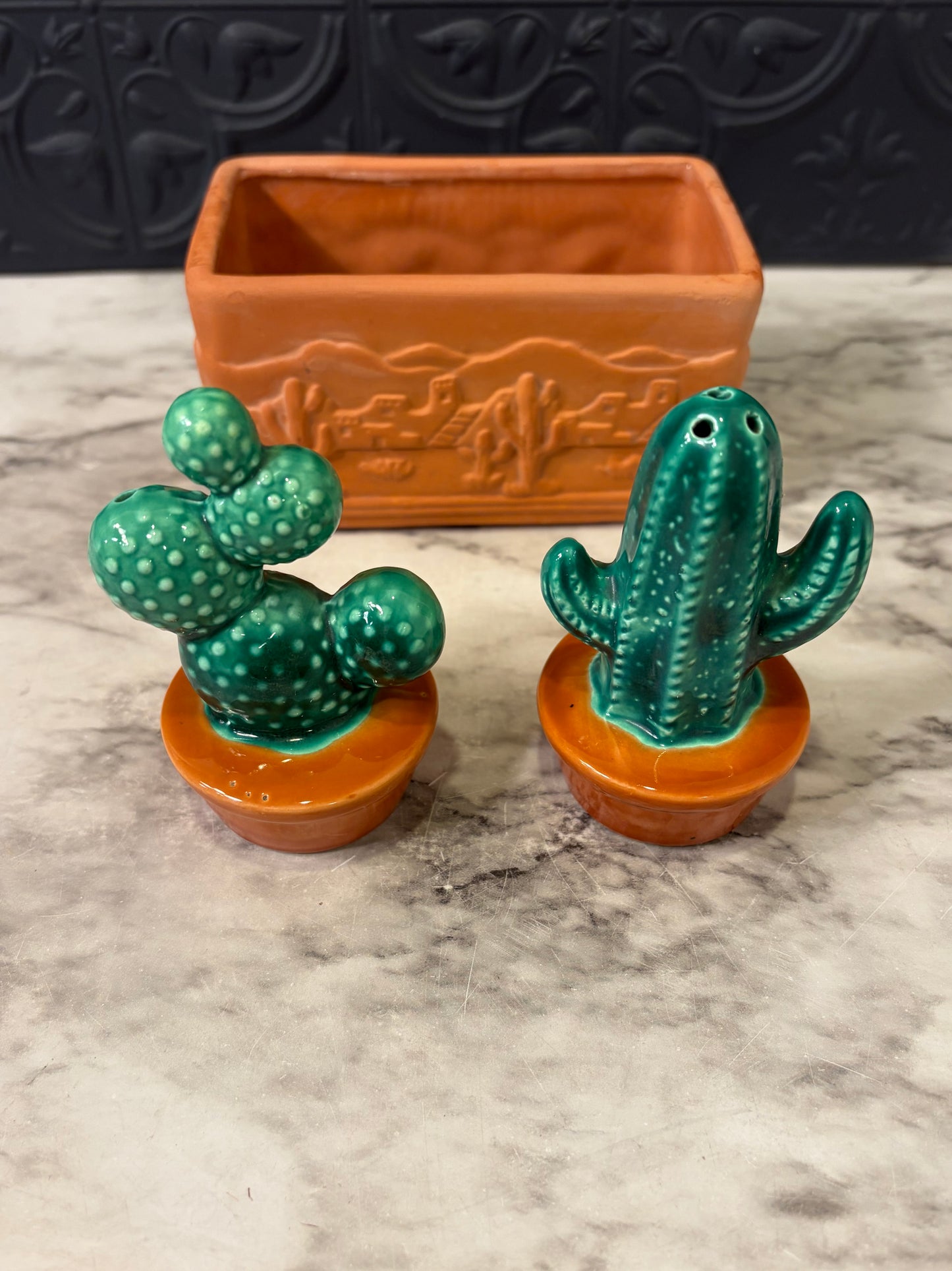 Cactus Salt and Pepper with Terracotta holder