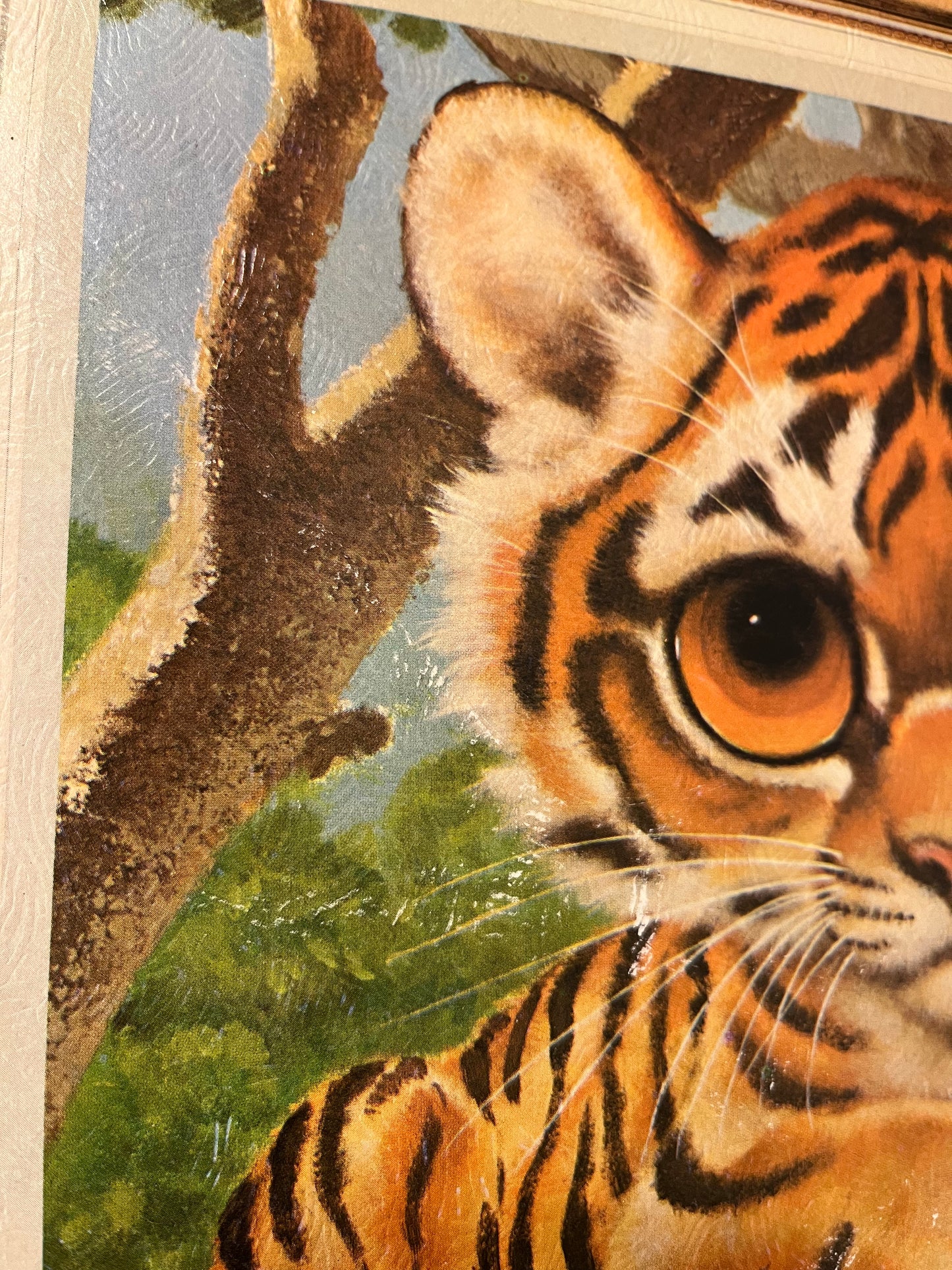 Vintage Big Eye Tiger Print on board