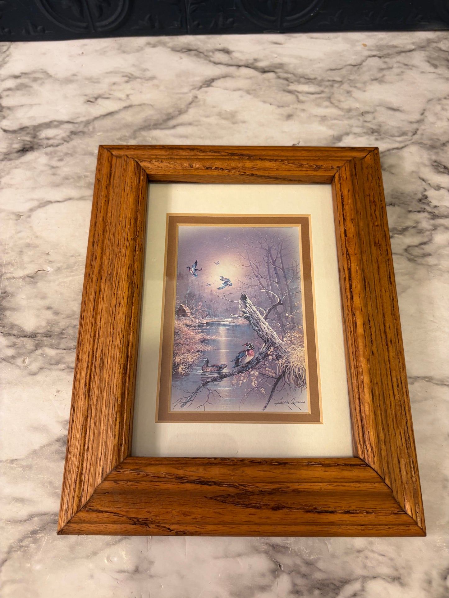 Orpinas Print Ducks in Wood Frame