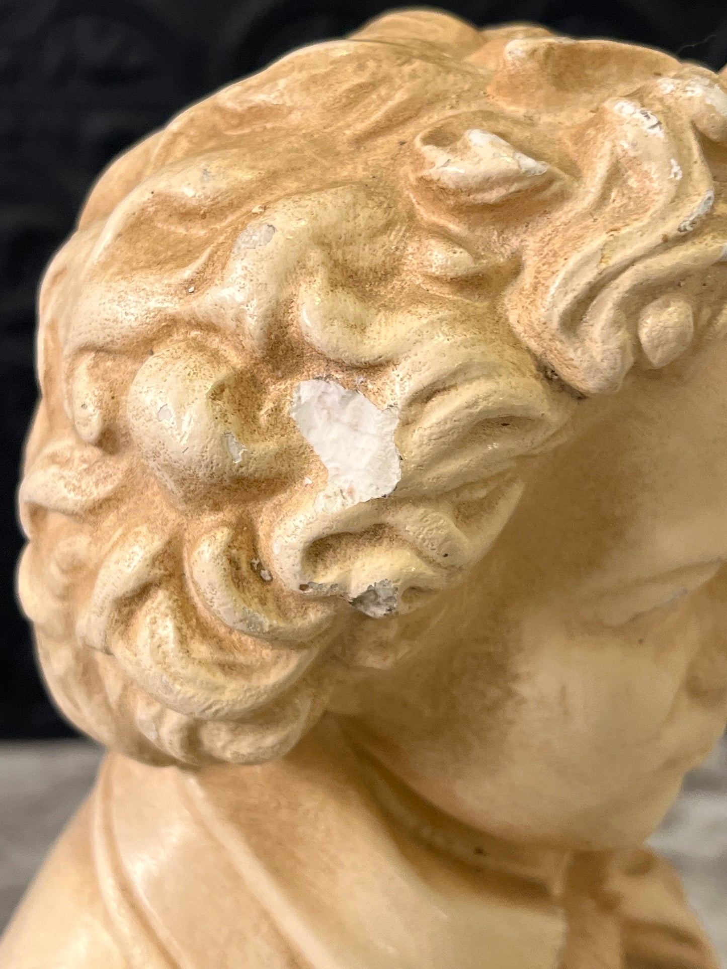 Cream Bust of Beethoven Plaster