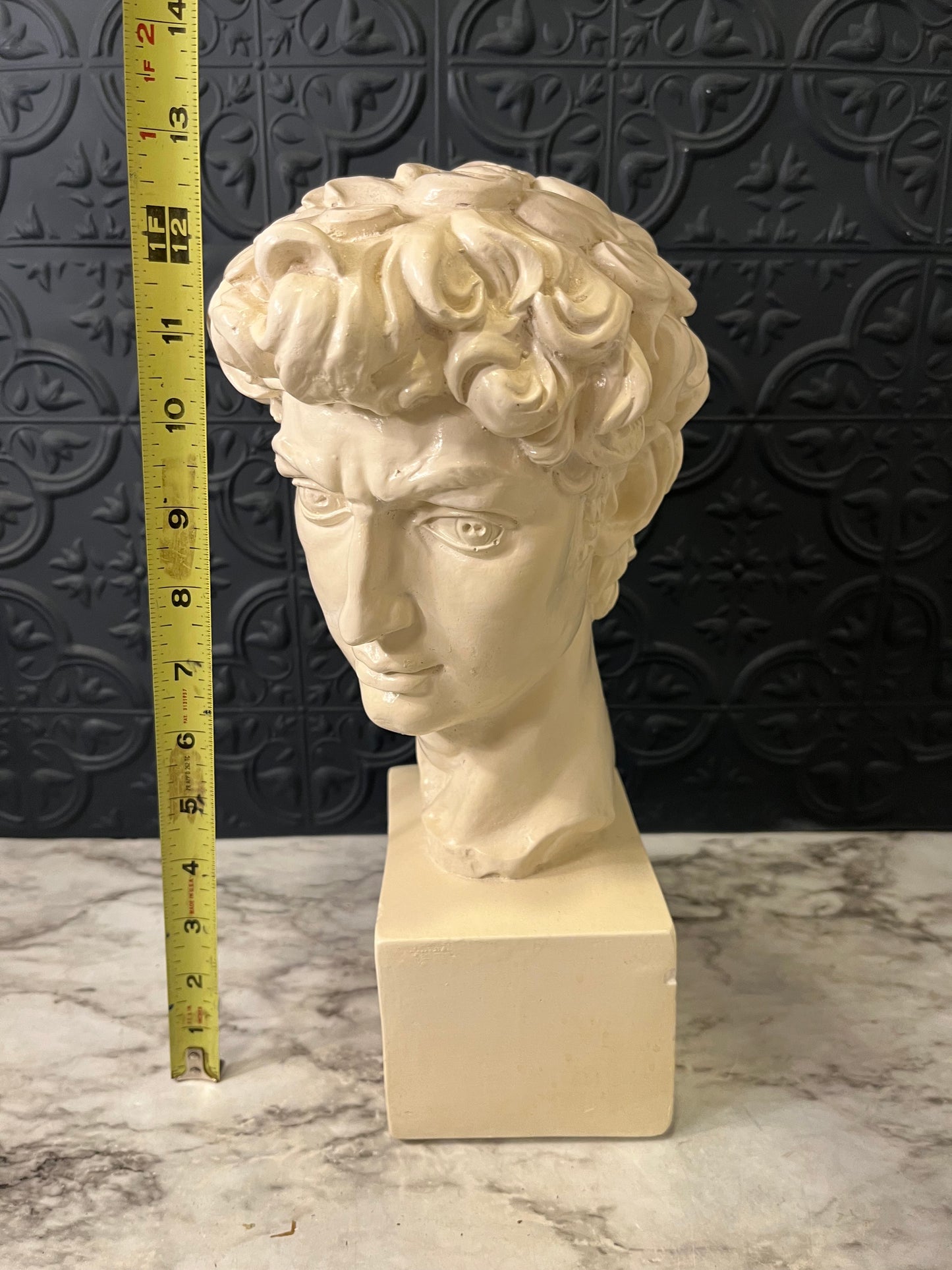 Plaster Bust of David