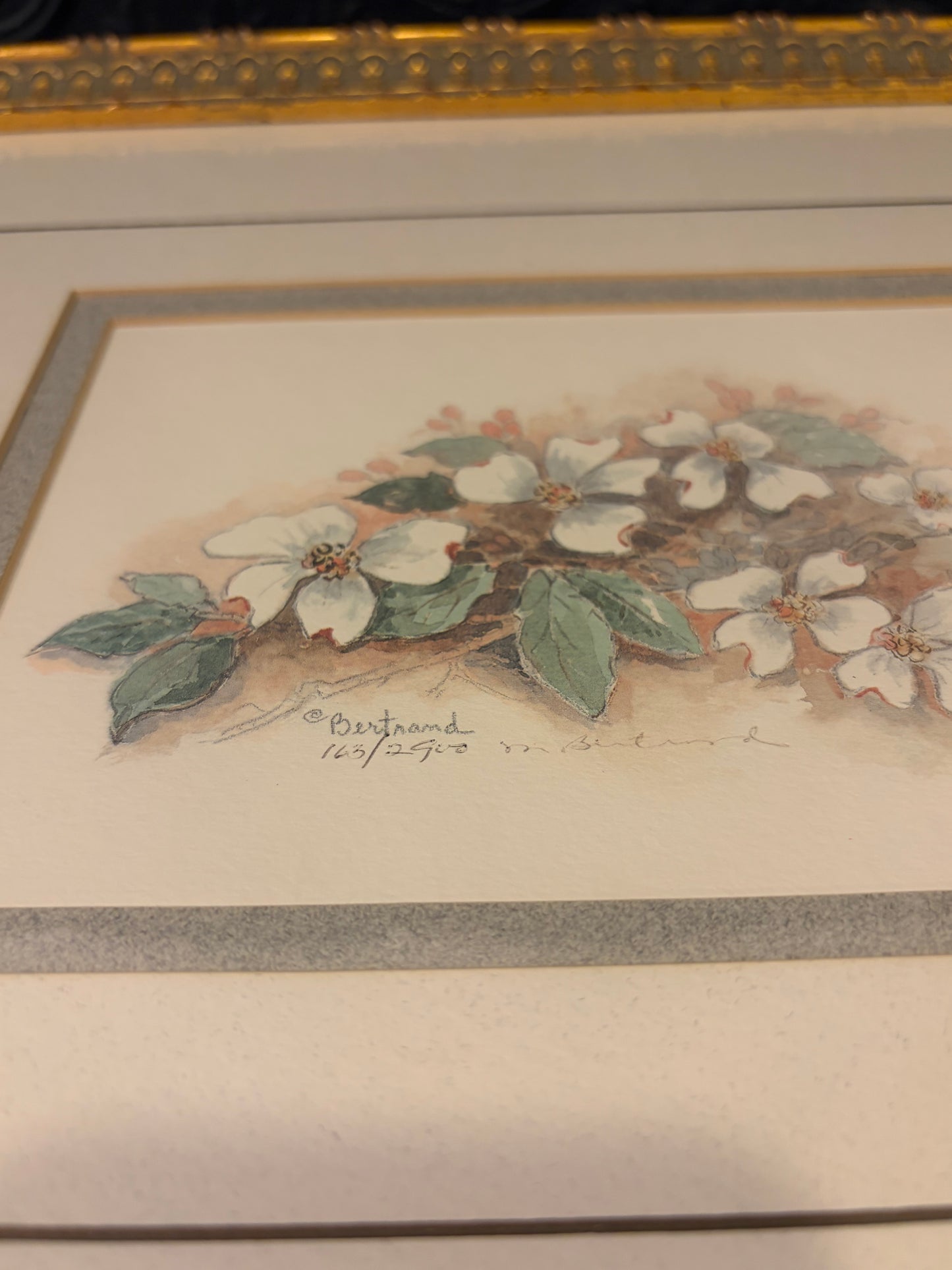 Framed White Flowers Mary Vincent Bertrand