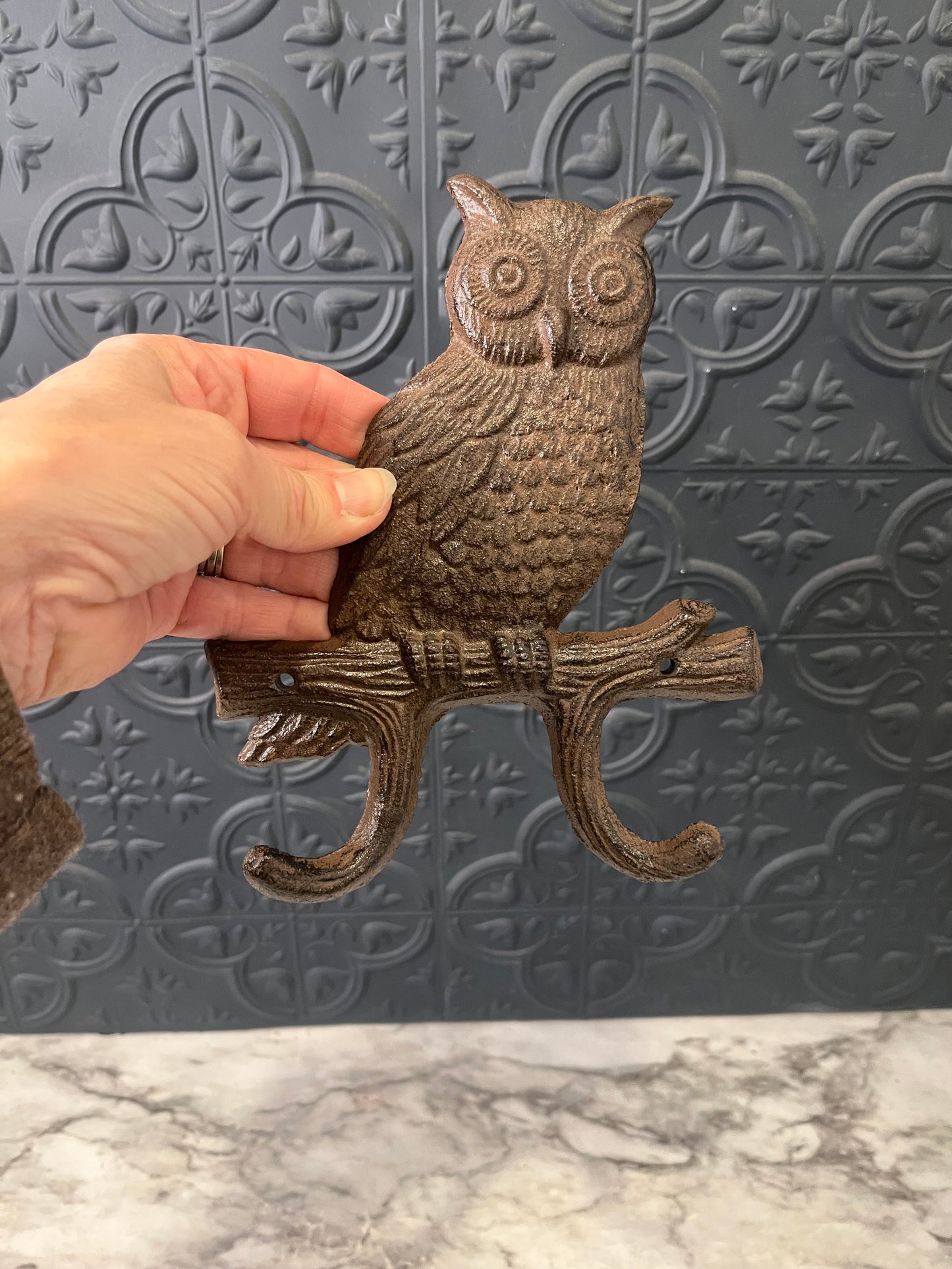 Cast Iron Owl Hooks