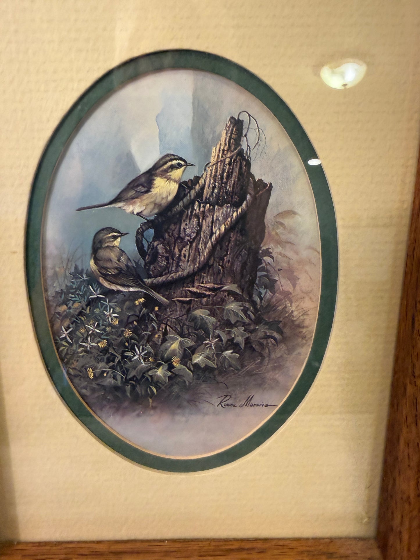 Ruane Manning Birds on Tree Print Framed