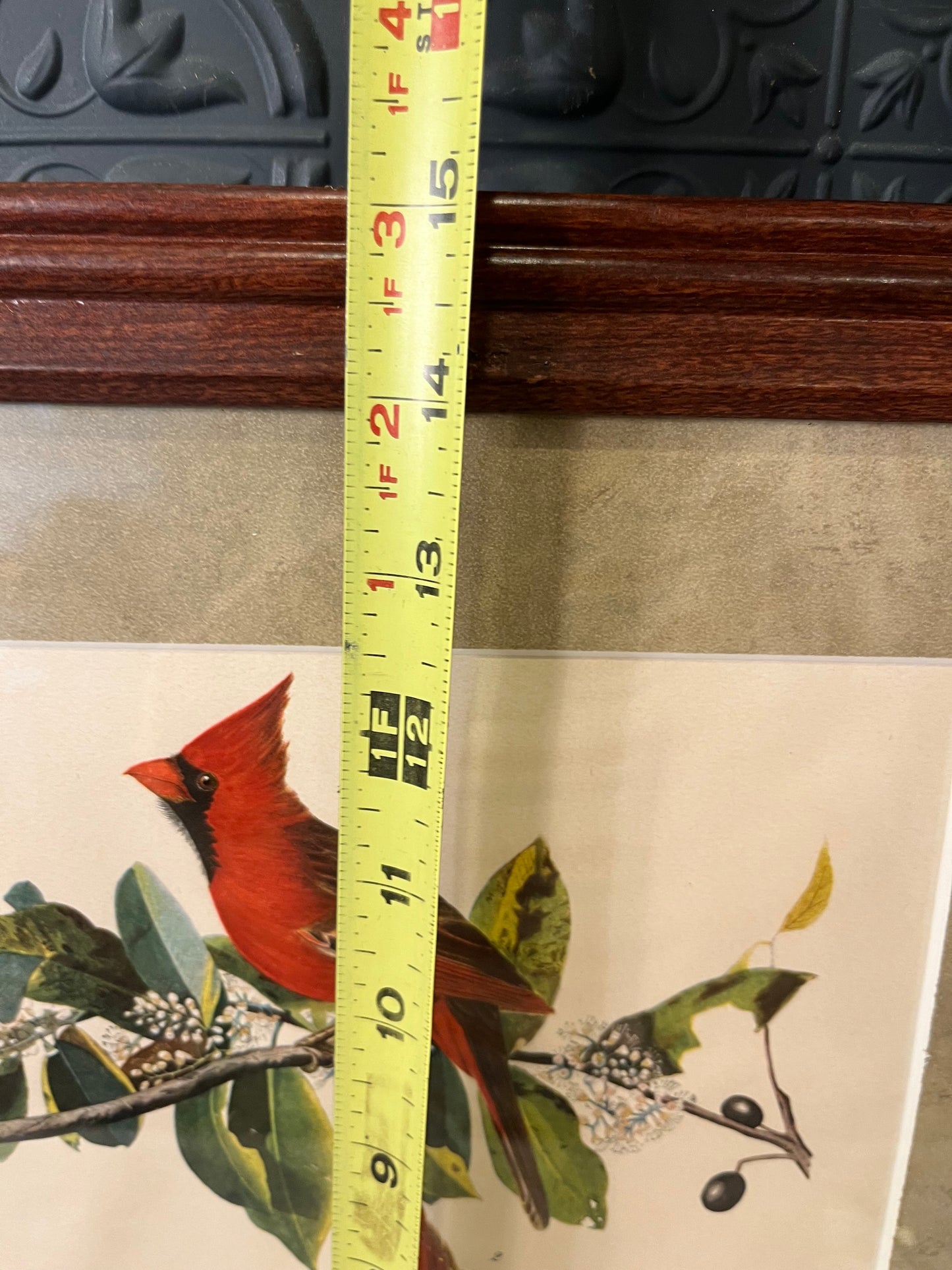 Cardinal Grosbeak Print in Cherry Frame