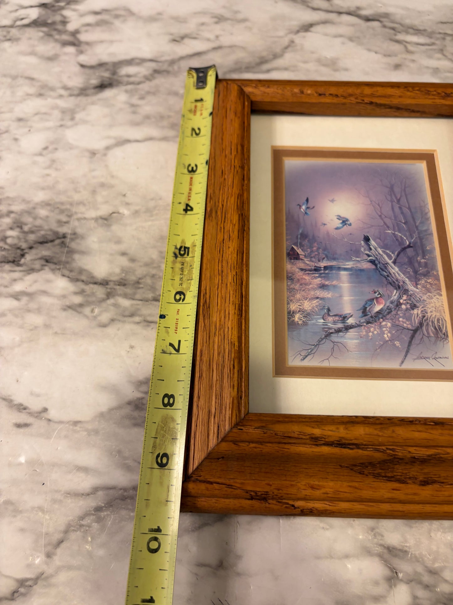 Orpinas Print Ducks in Wood Frame