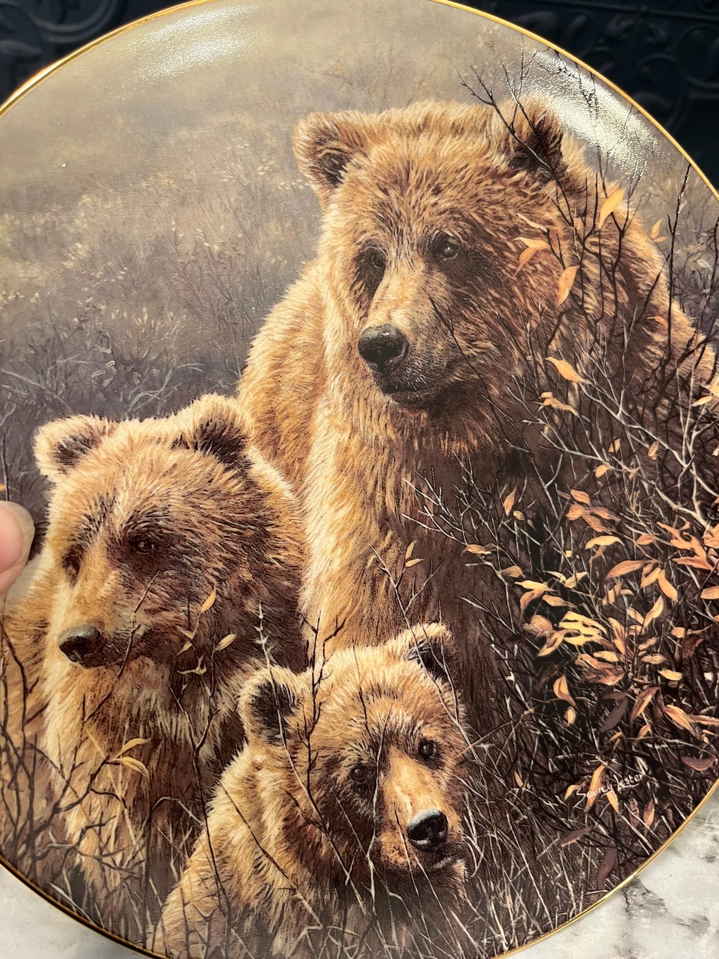Denali Family Bears collectors plate