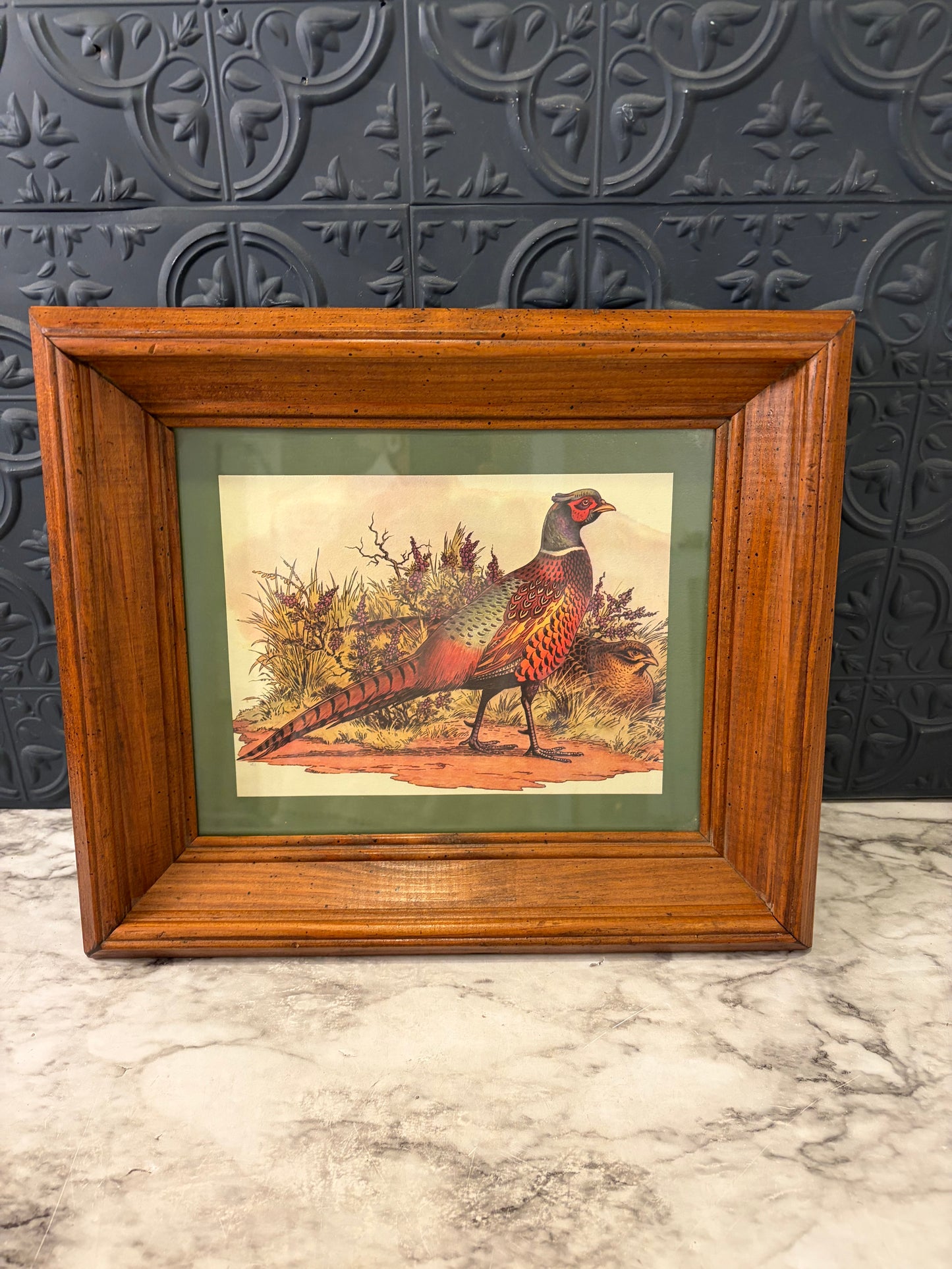 Ring Neck Pheasant Print Framed