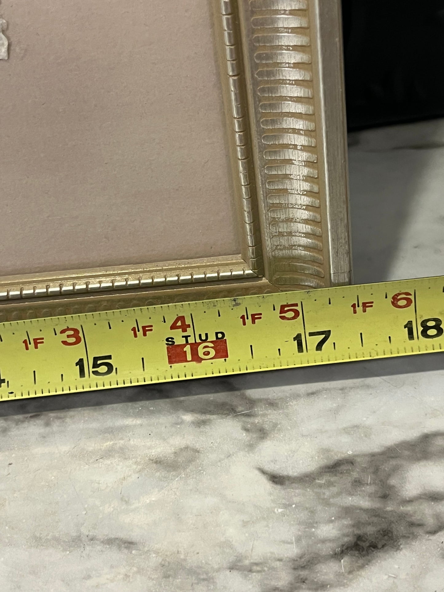 Pressed Herb Botanical Framed