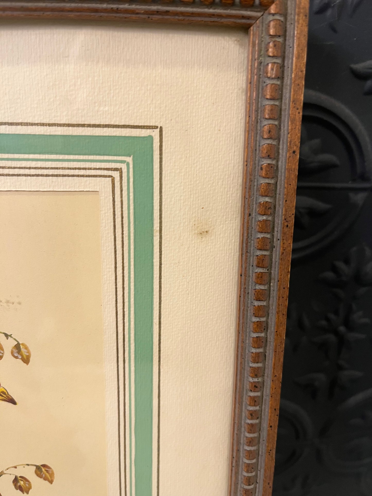 Vintage Print Bird Framed Yellow