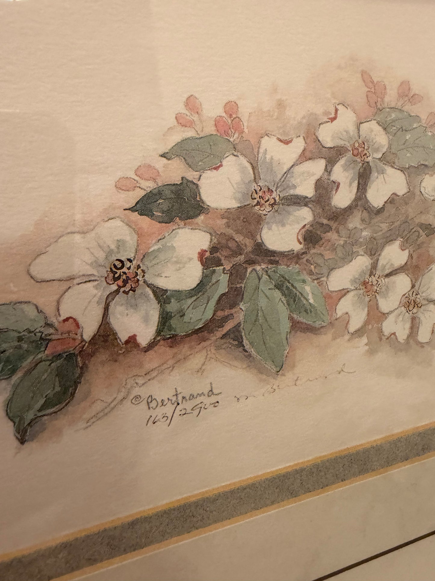 Framed White Flowers Mary Vincent Bertrand
