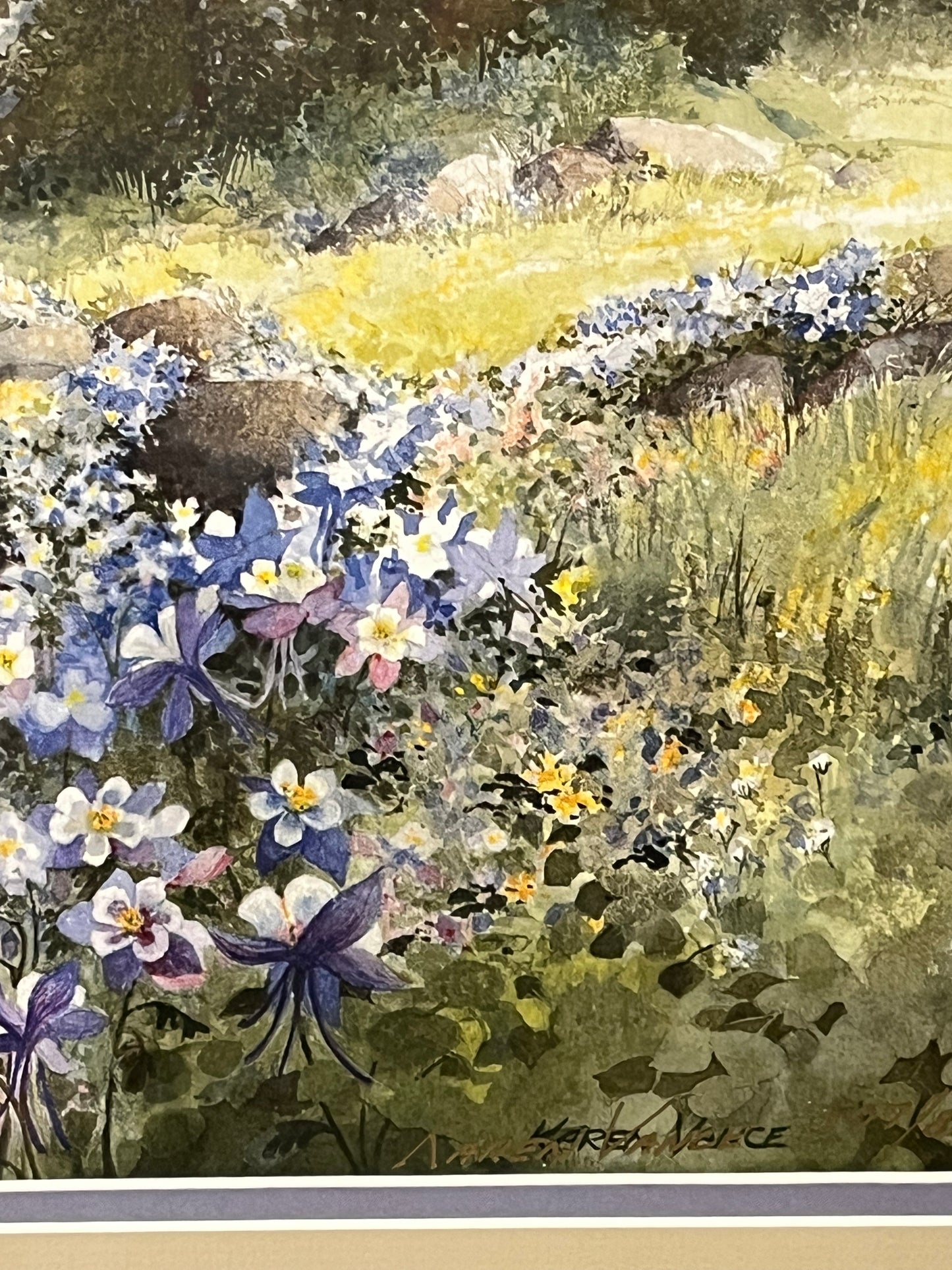 Framed Watercolor of Mountain Wildflowers