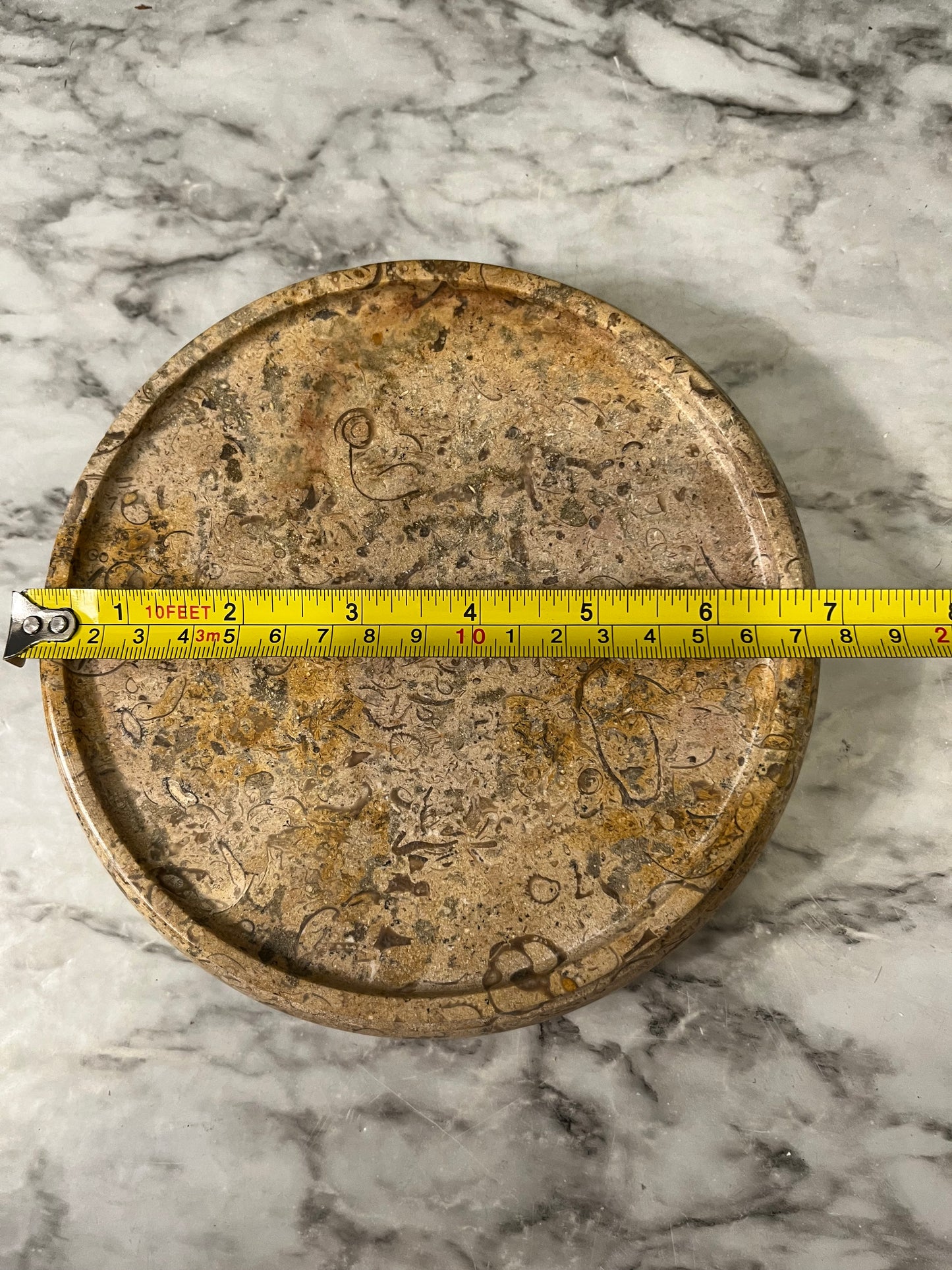 Fossilized Stone Footed Plant Stand