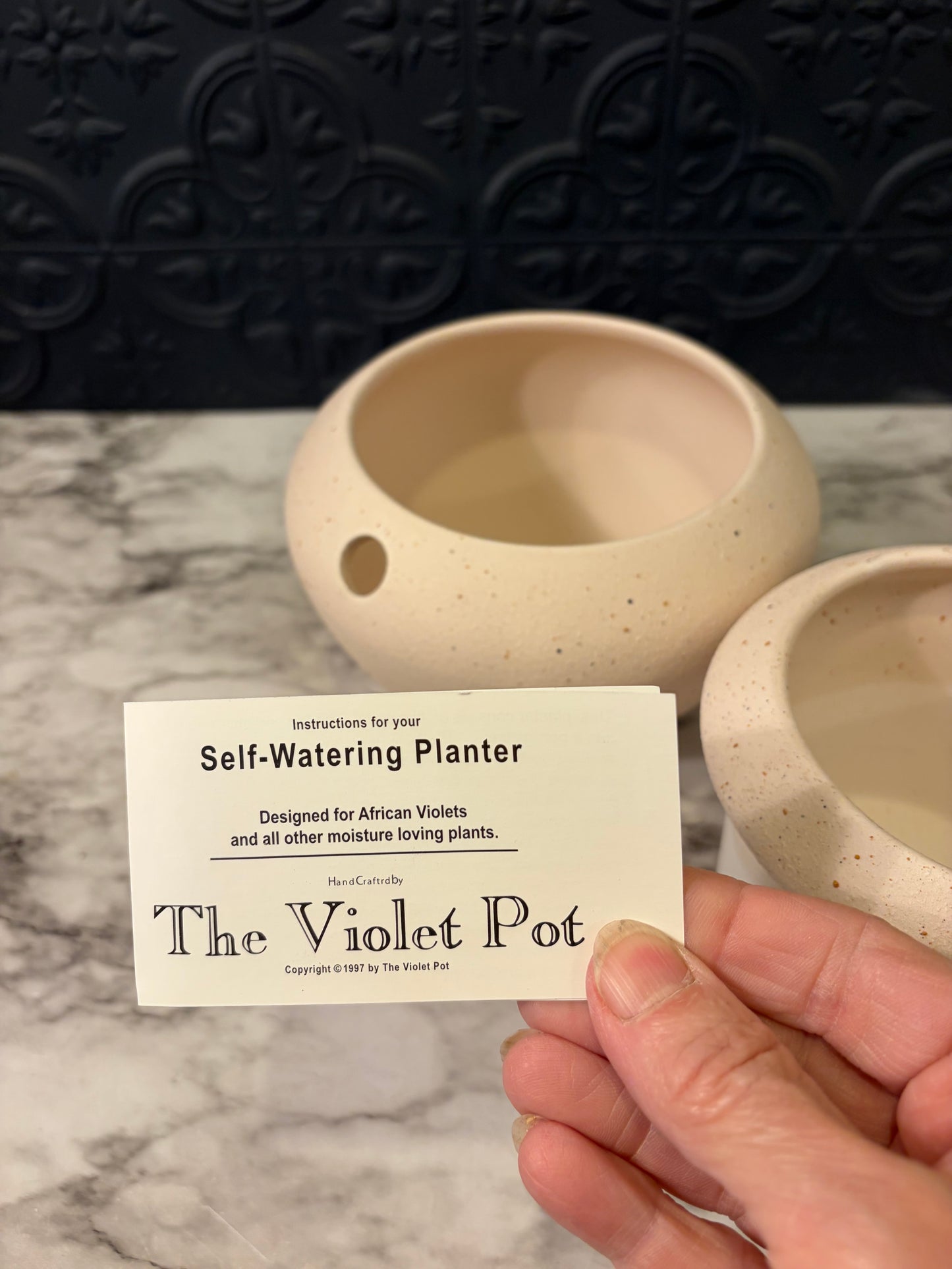The Violet Pot Selt Watering