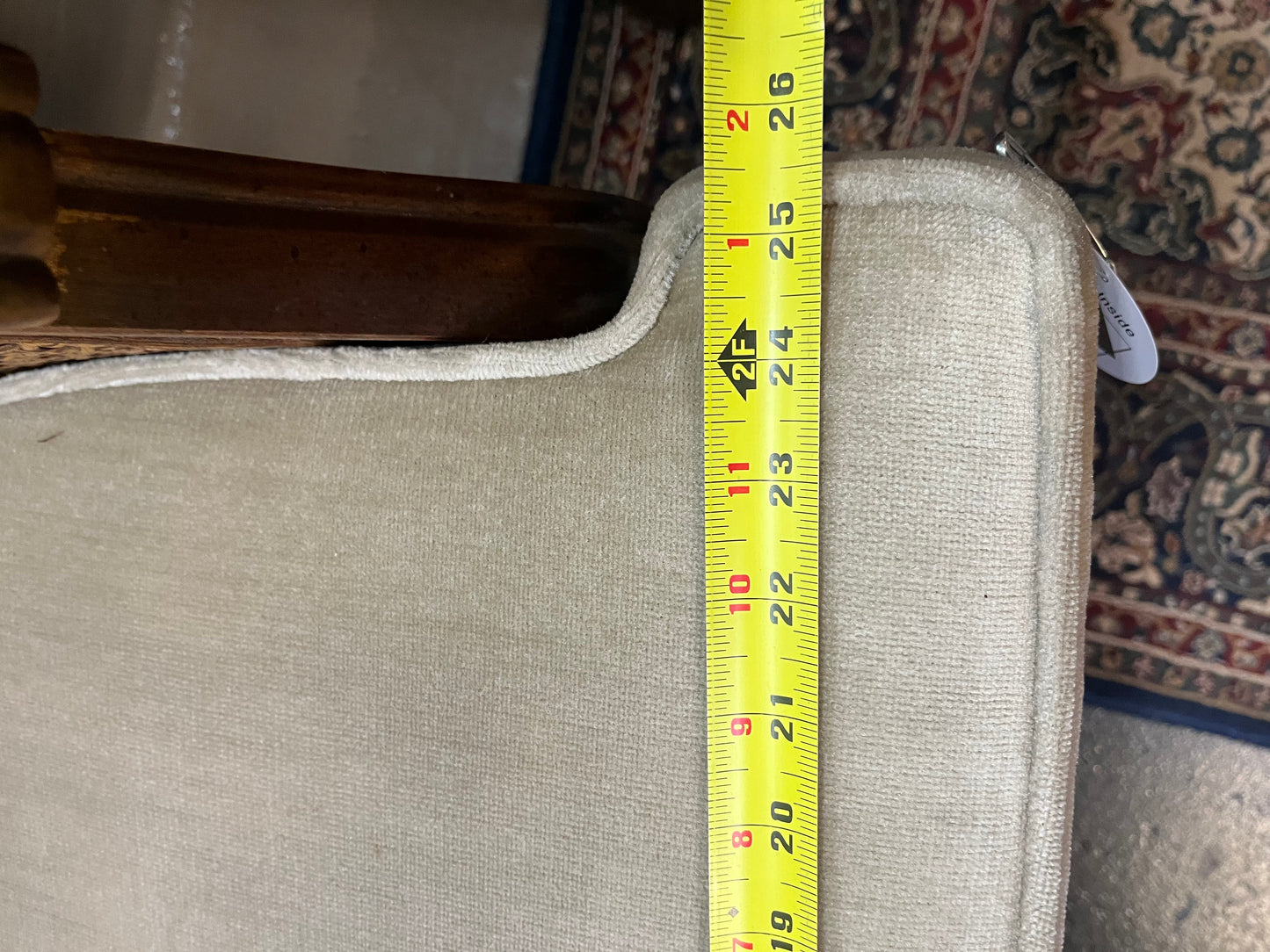 Champagne Velvet and Cane Chair