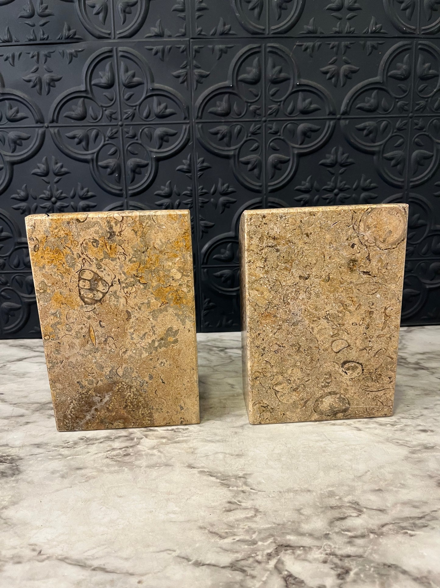 Fossilized Stone bookends Set of 2
