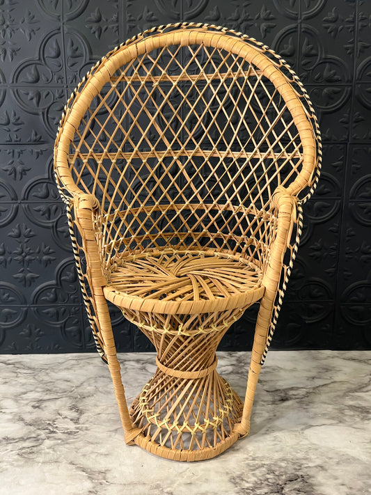 Wicker Peacock Chair for plant