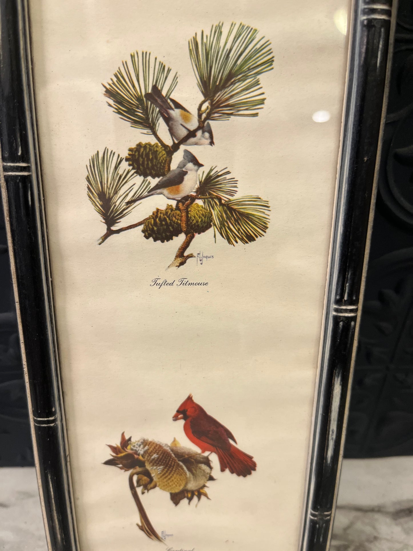 10 x 4 Print of cardinals in Black frame