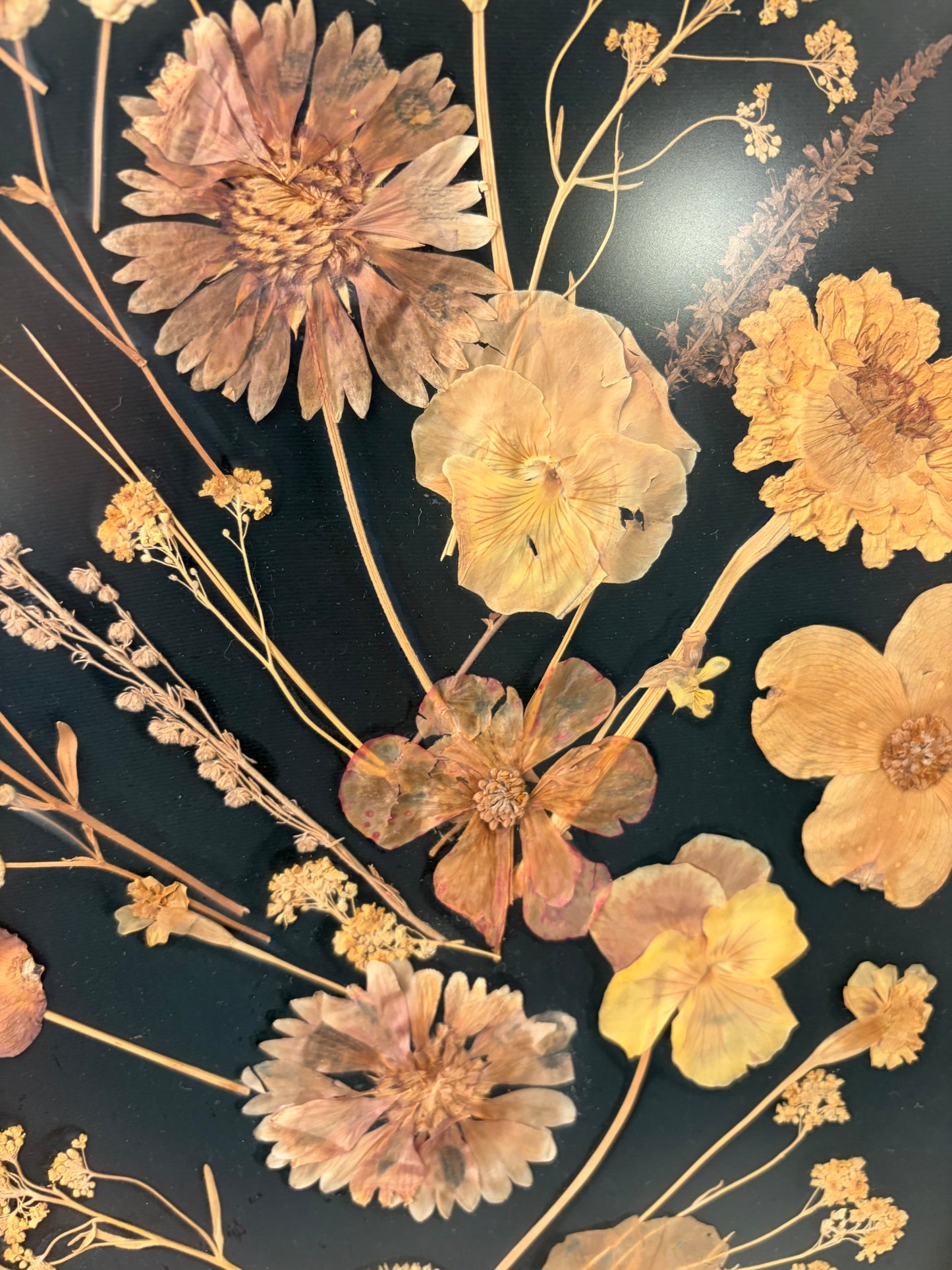 Oval Pressed Flower Art