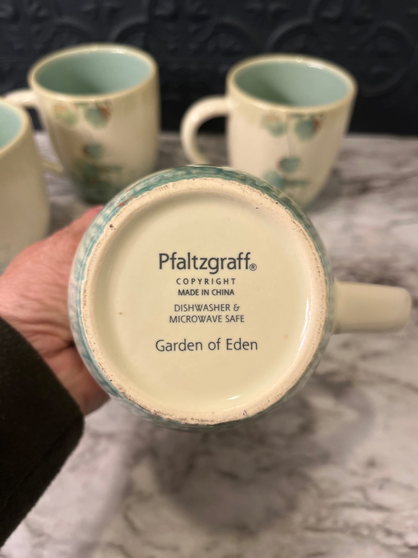 Pfaltzgraff Garden of Eden Mug set of 4