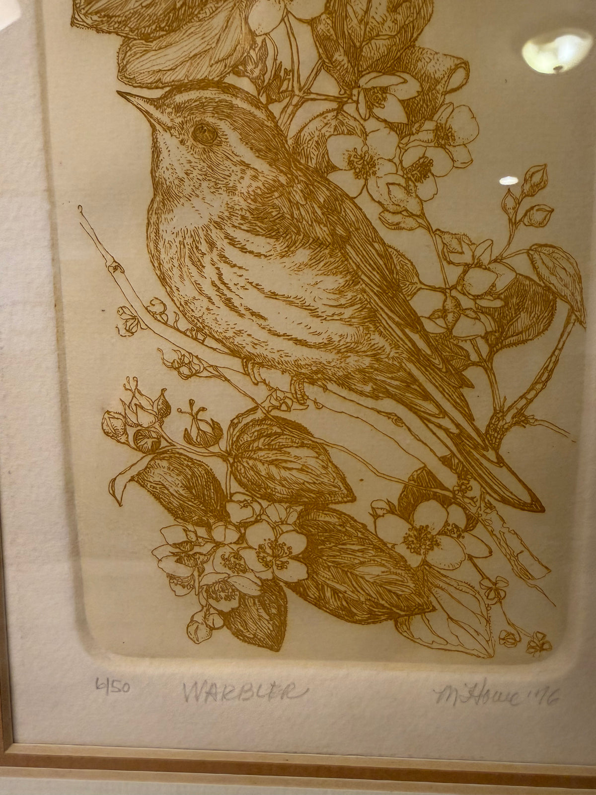 Numbered Print of Warbler by M Howelle