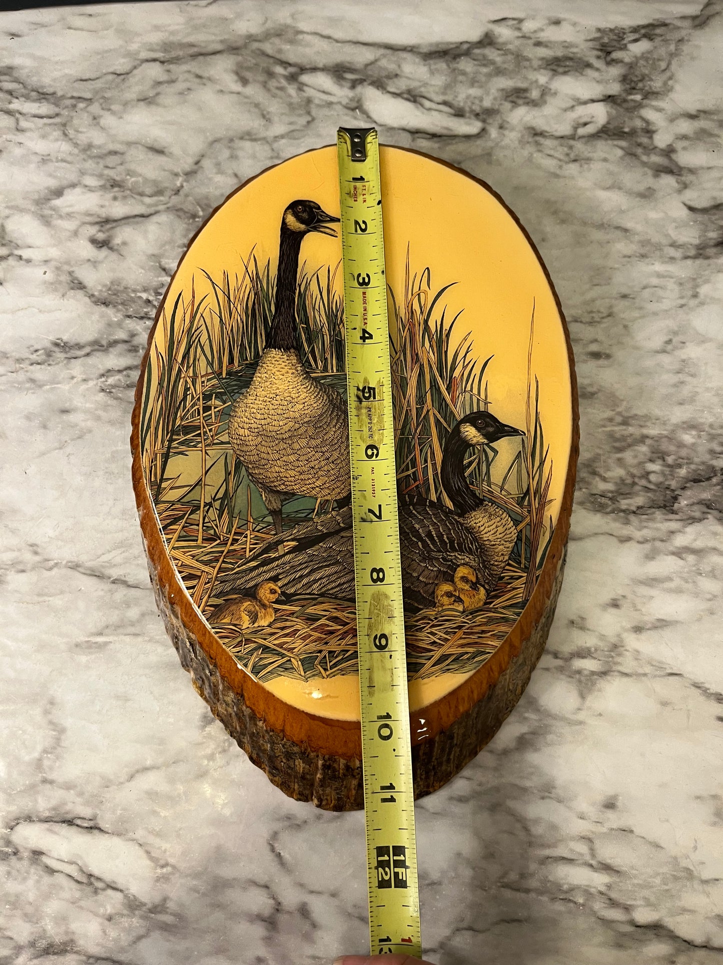 Laminated Duck On Live Edge