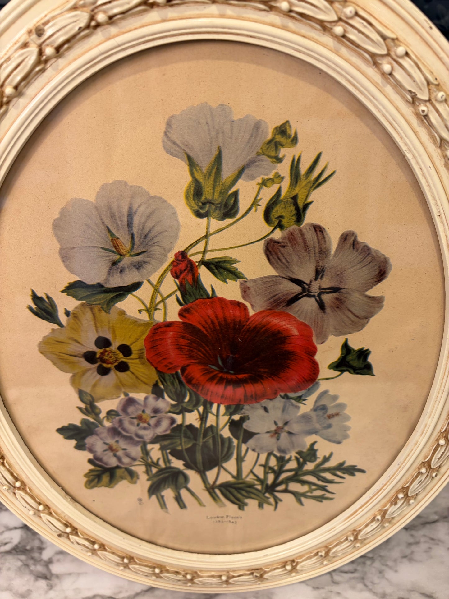 Prevost Print in Decorative Cream Oval Frame
