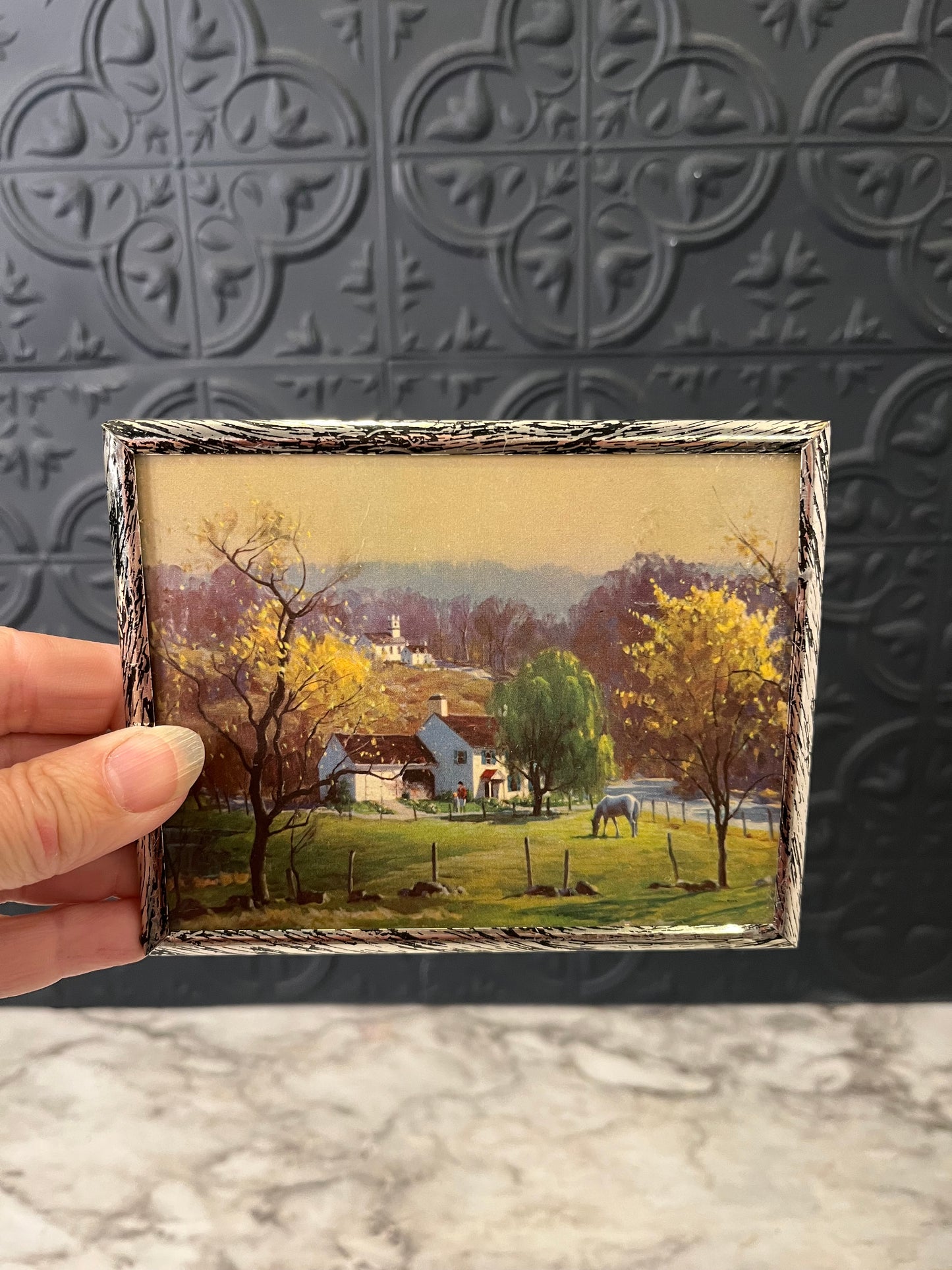 Mini Print of Buck County Horse