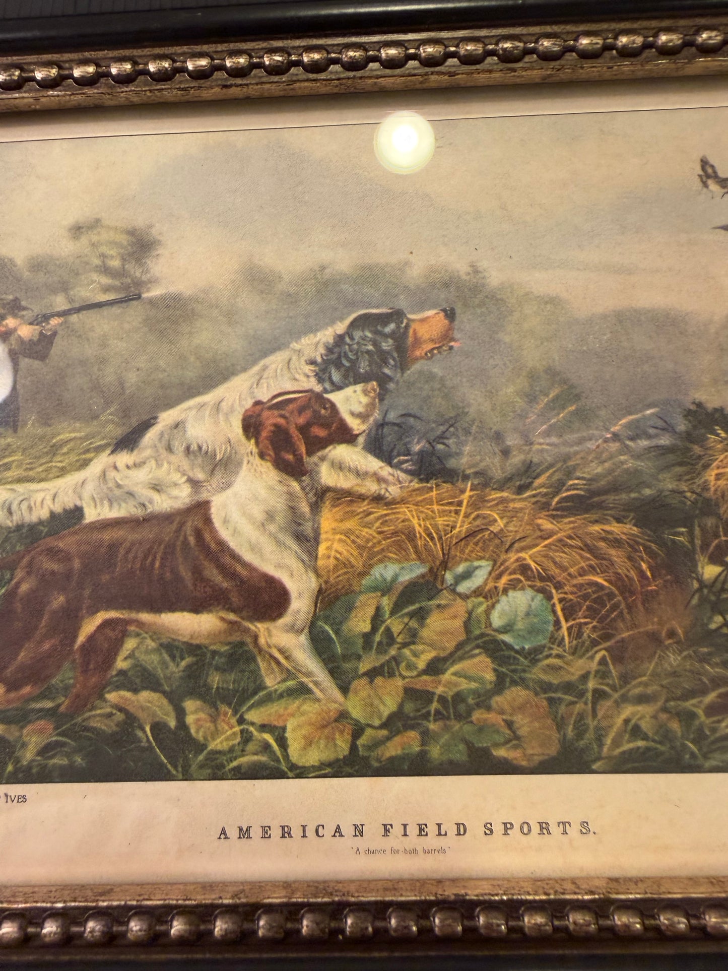 American Field Sports Print Framed