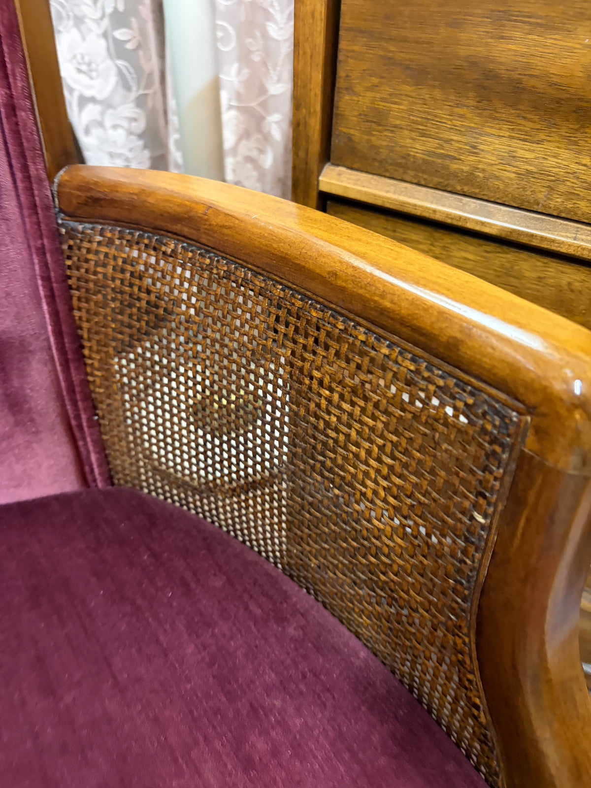 Purple Velvet Chair with Cane