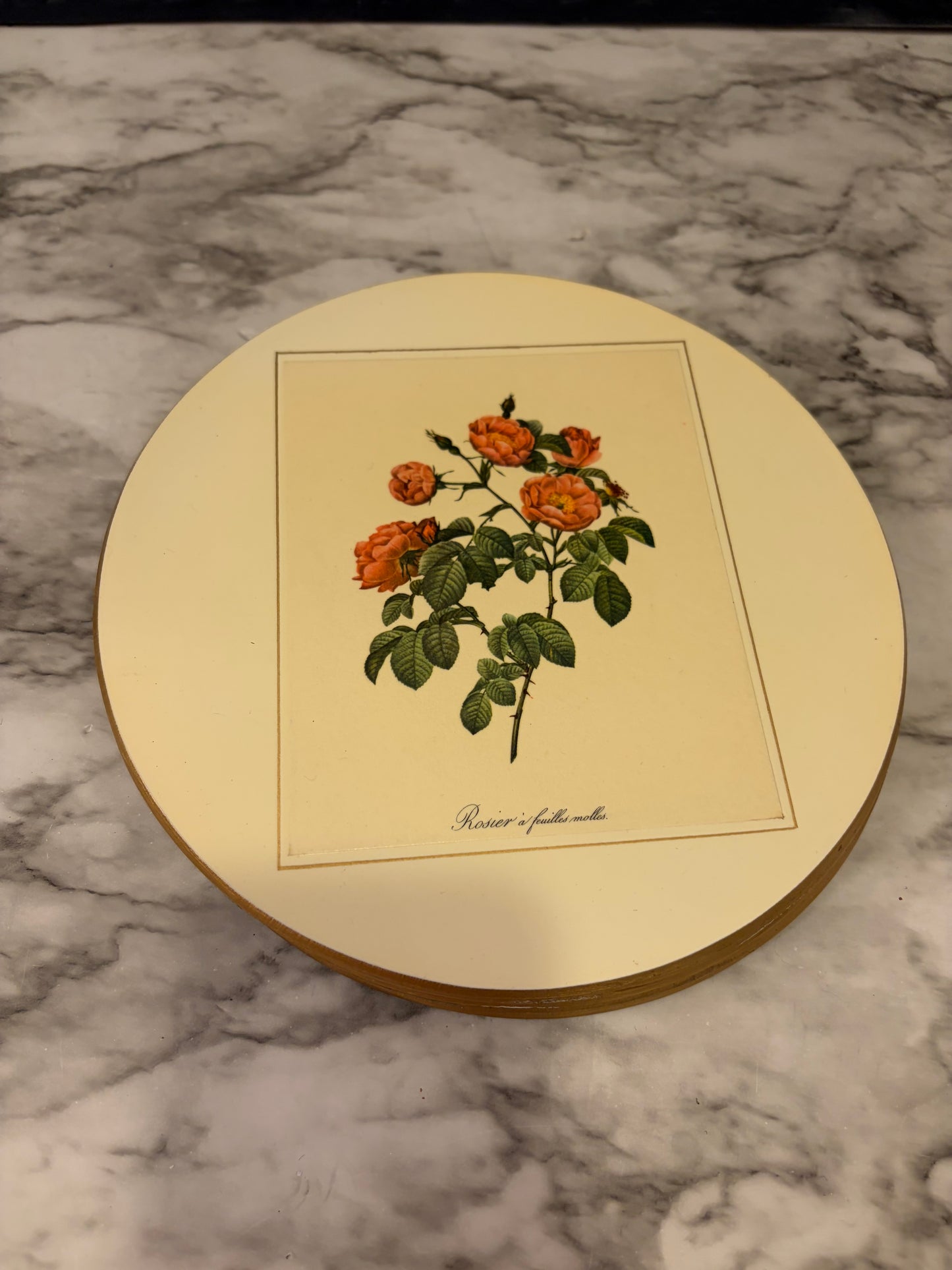 Cork Back Floral Trivets Set of 6