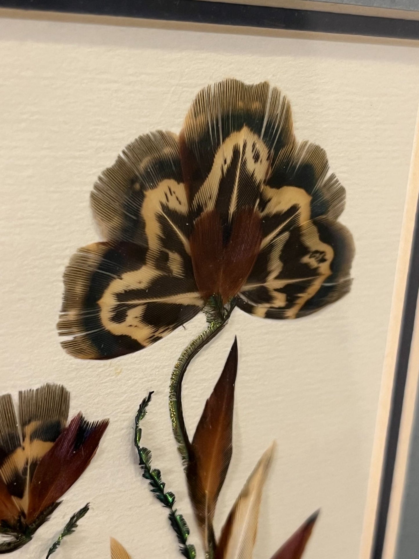 Signed Feather Art by Laurel  Krause