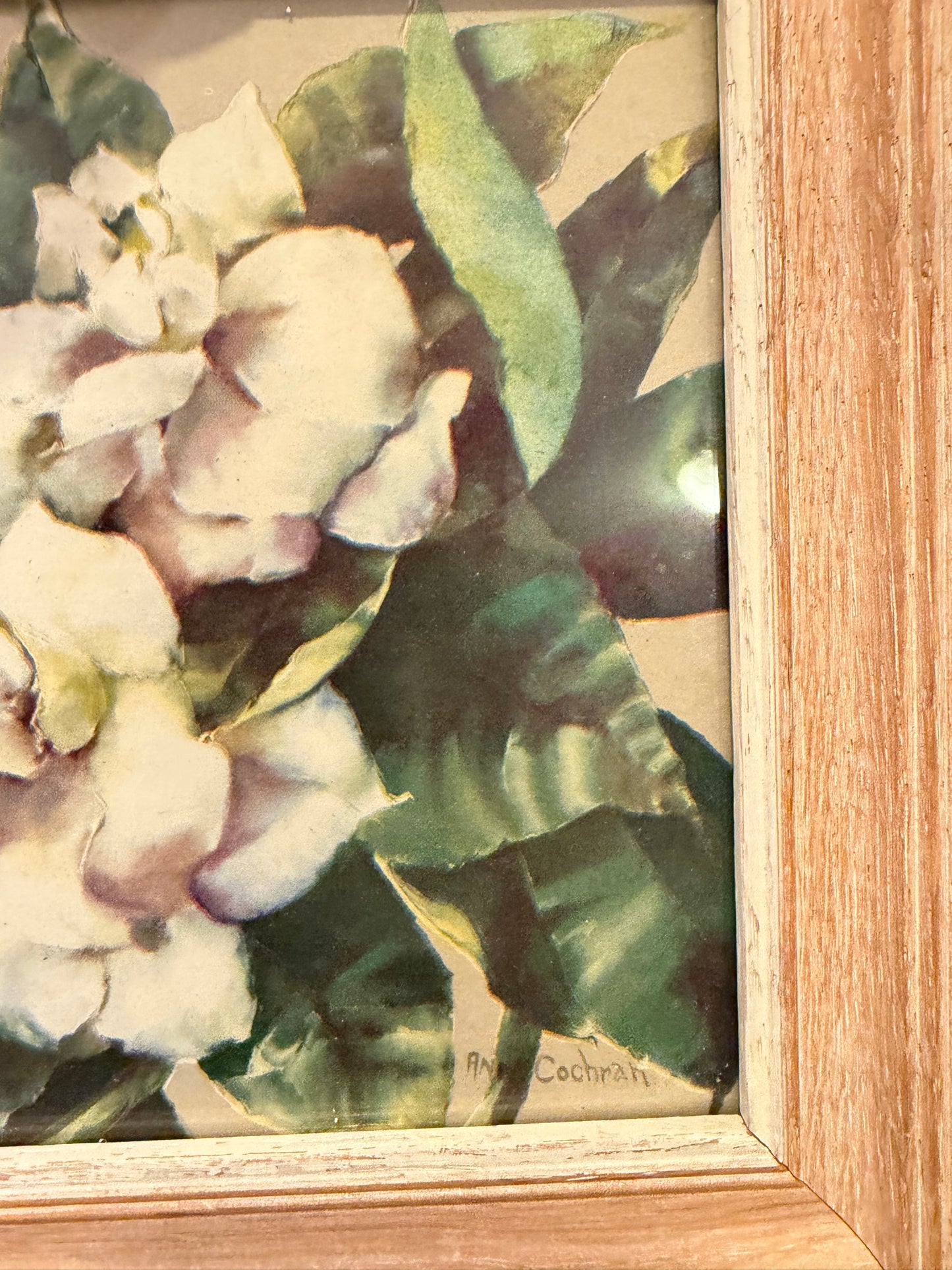 Square Magnolia Print Framed
