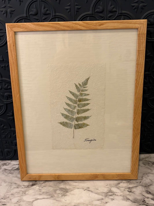 Pressed Fern Art Framed