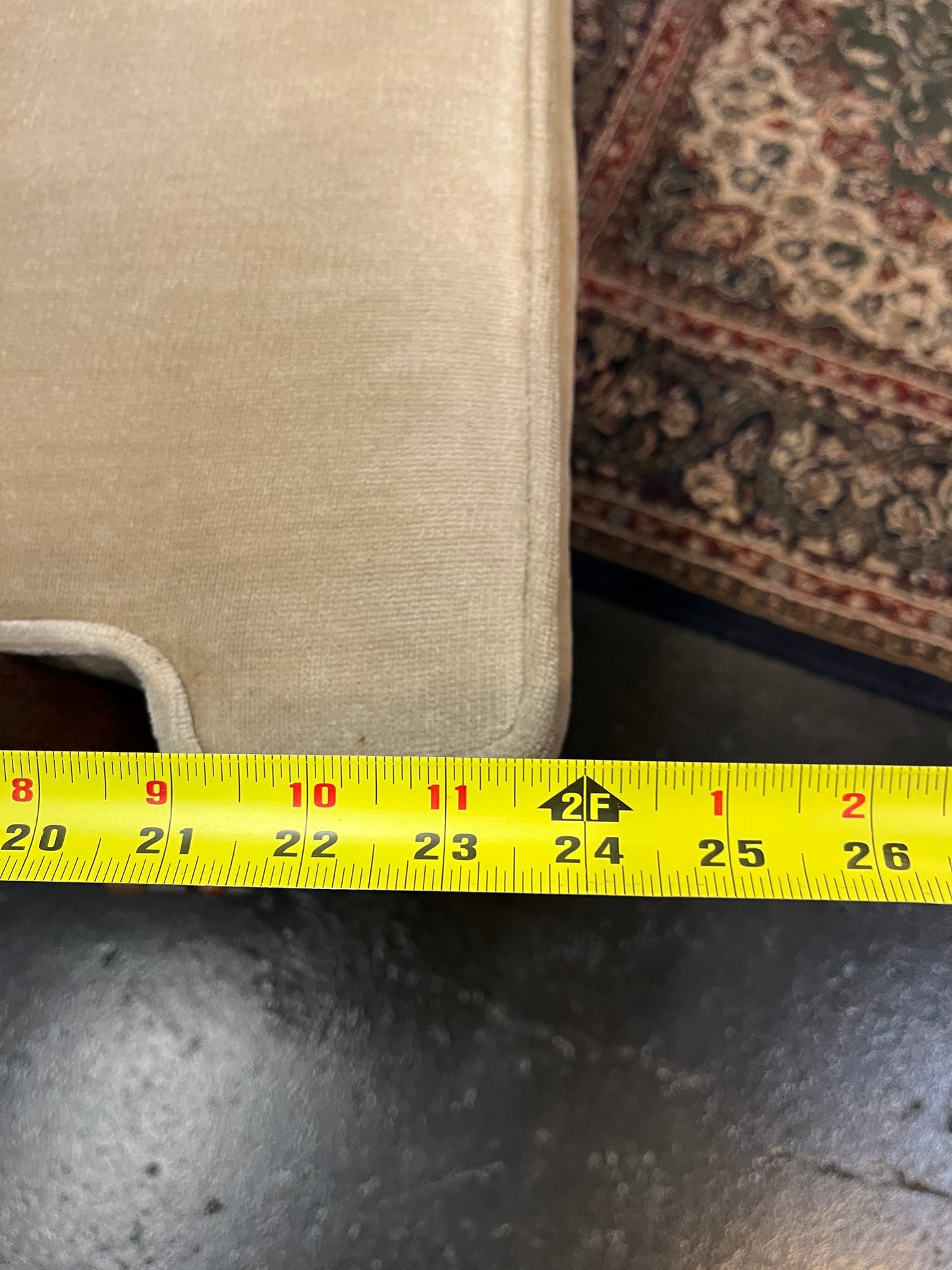 Champagne Velvet and Cane Chair