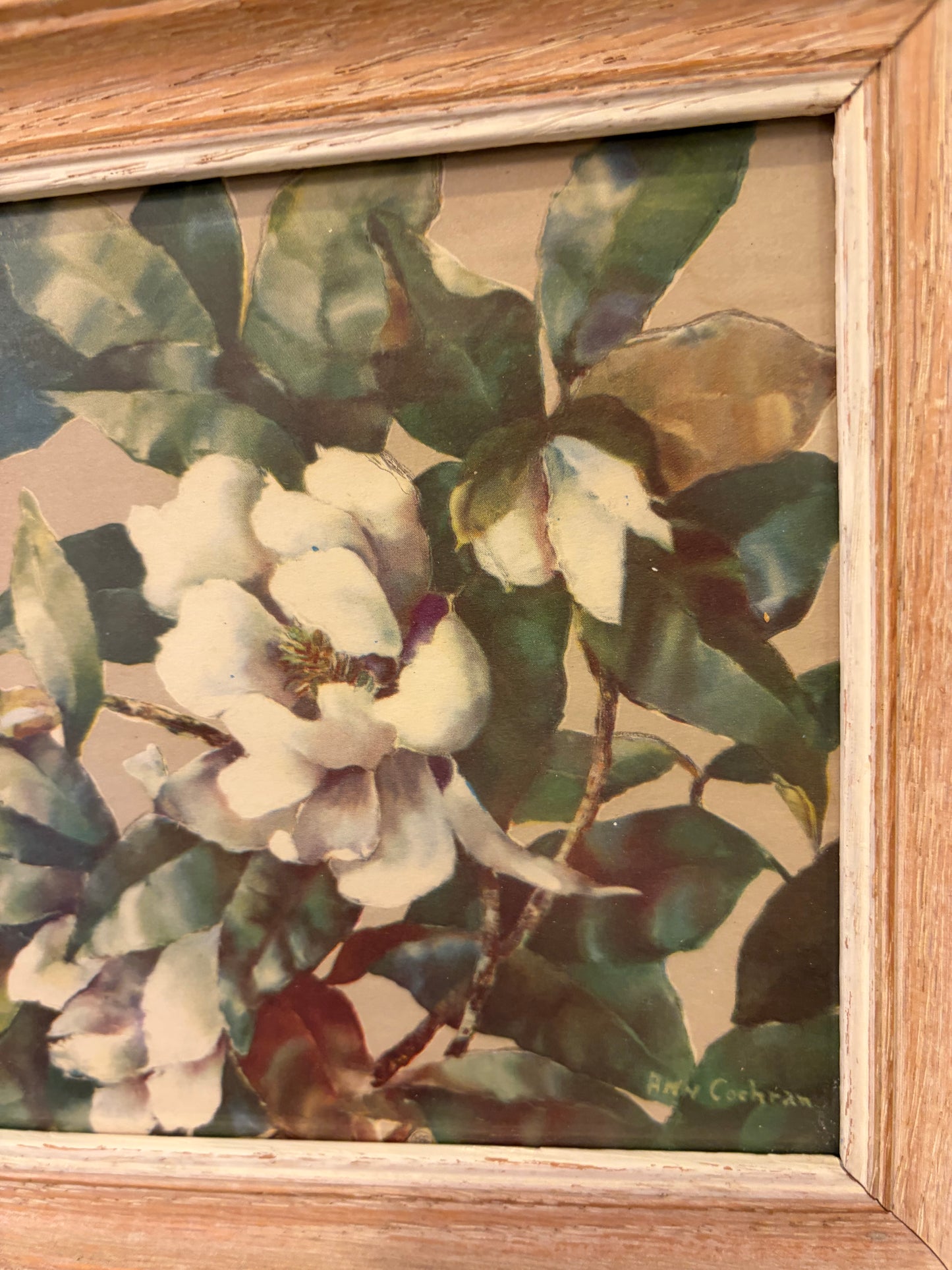 Square Magnolia Flowers Framed