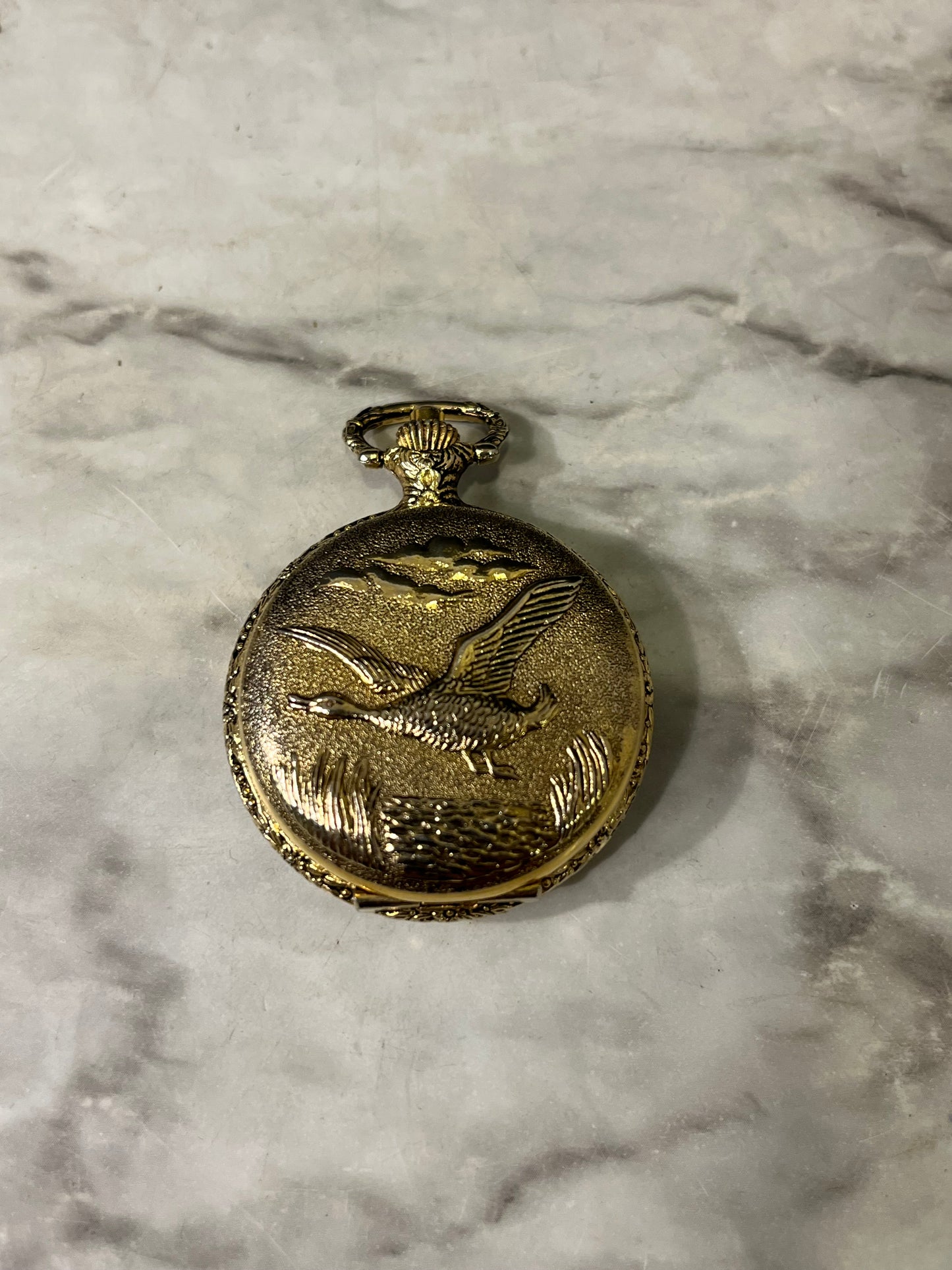 Pocket watch shell