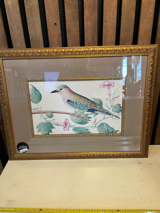 Large Framed Bird Print by Mary Evans Pink Flowers