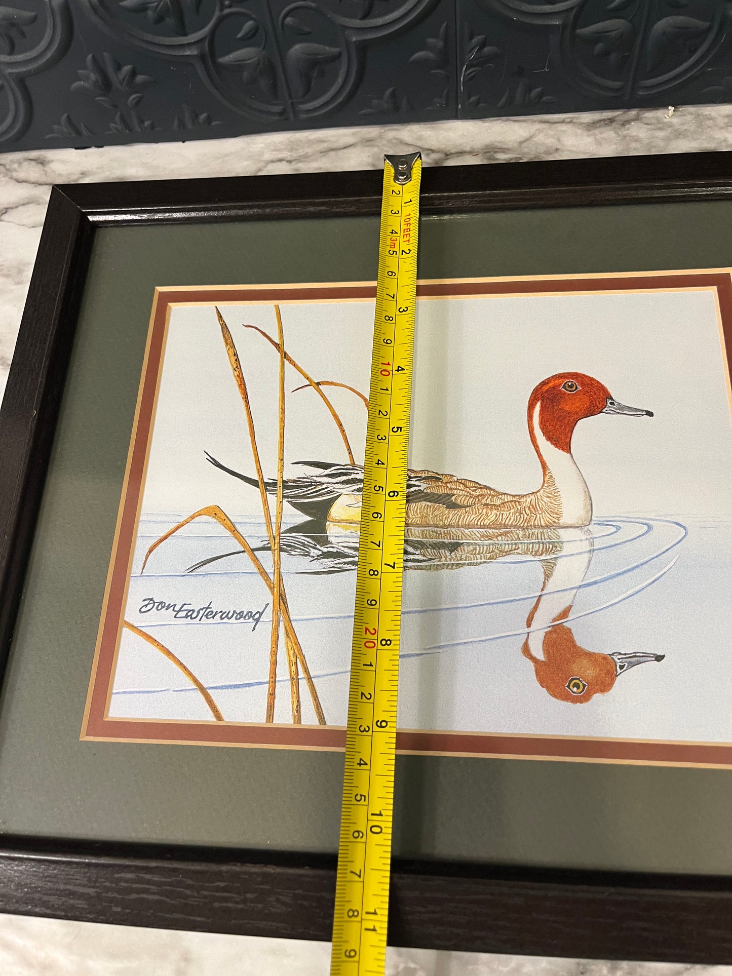 Home Interiors Don Easterwood Red Head Pintail Reflection Print