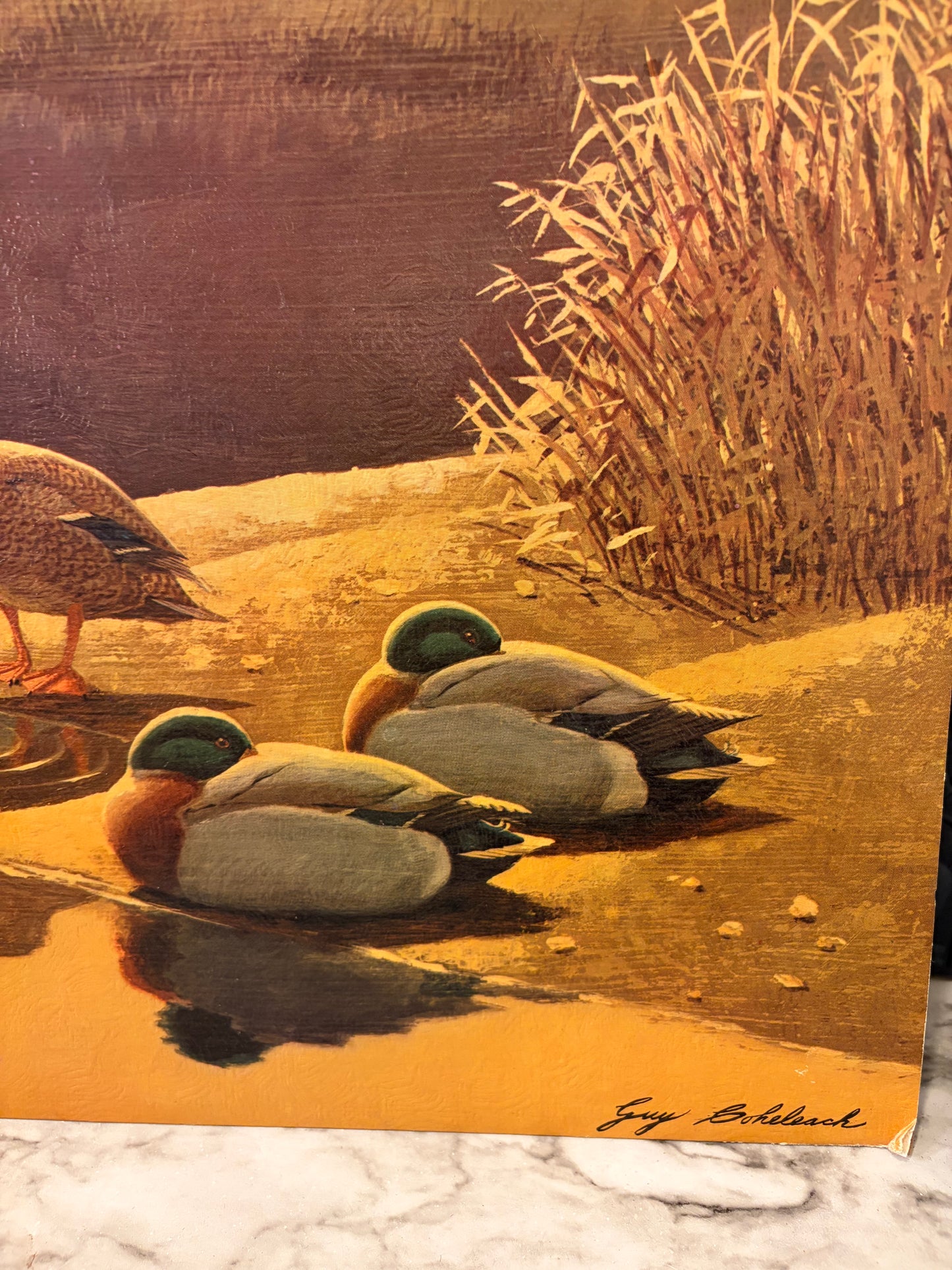 Secluded Rest Print on Board 12 x 24