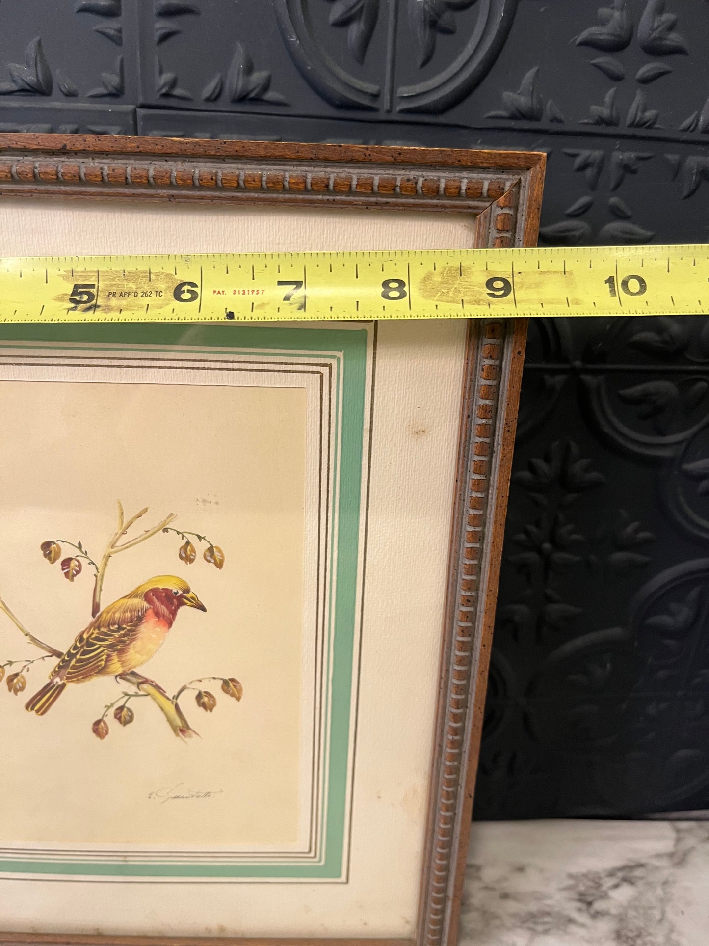 Vintage Print Bird Framed Yellow