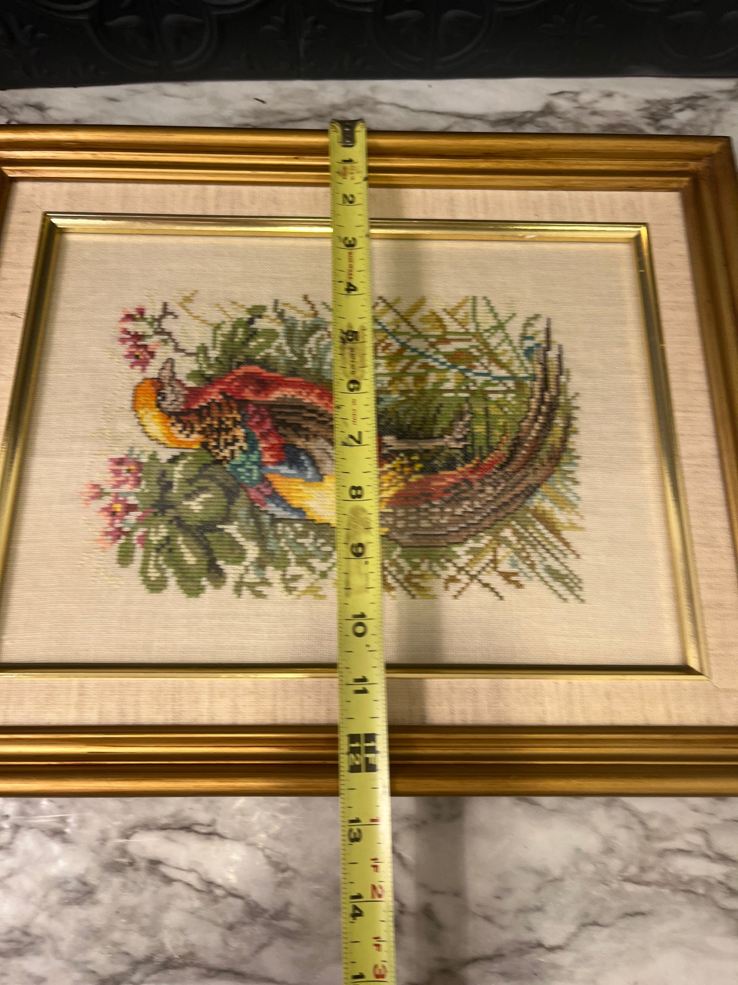 Cross Stitch of Pheasant Framed