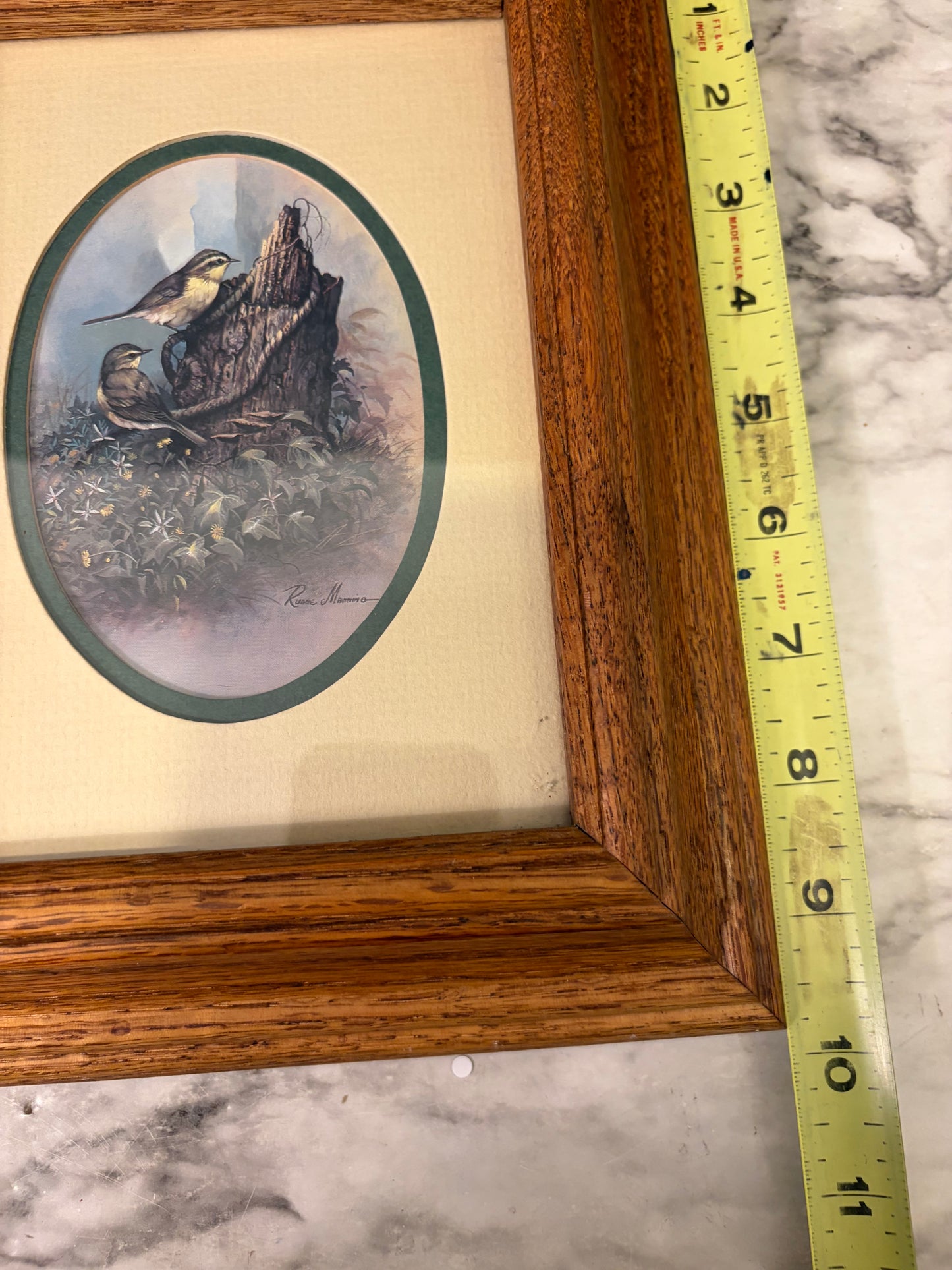 Ruane Manning Birds on Tree Print Framed