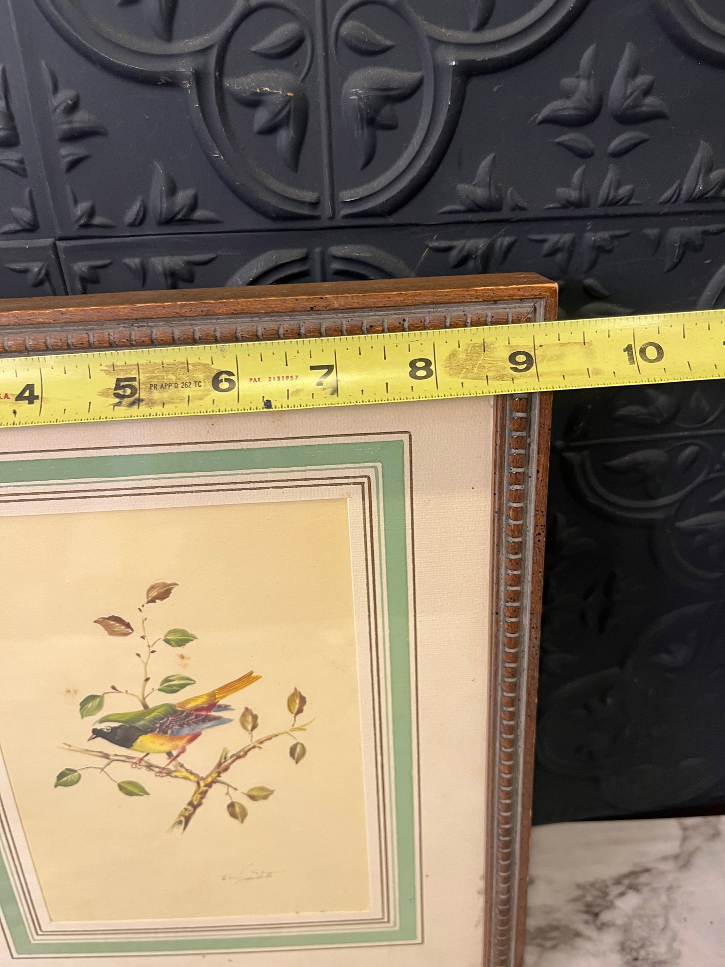 Vintage Print Bird Framed green,yellow,blue