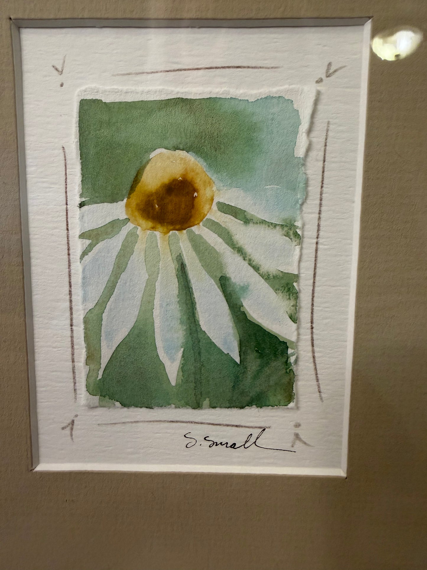 Water Color Botanical Prints Framed in Silver