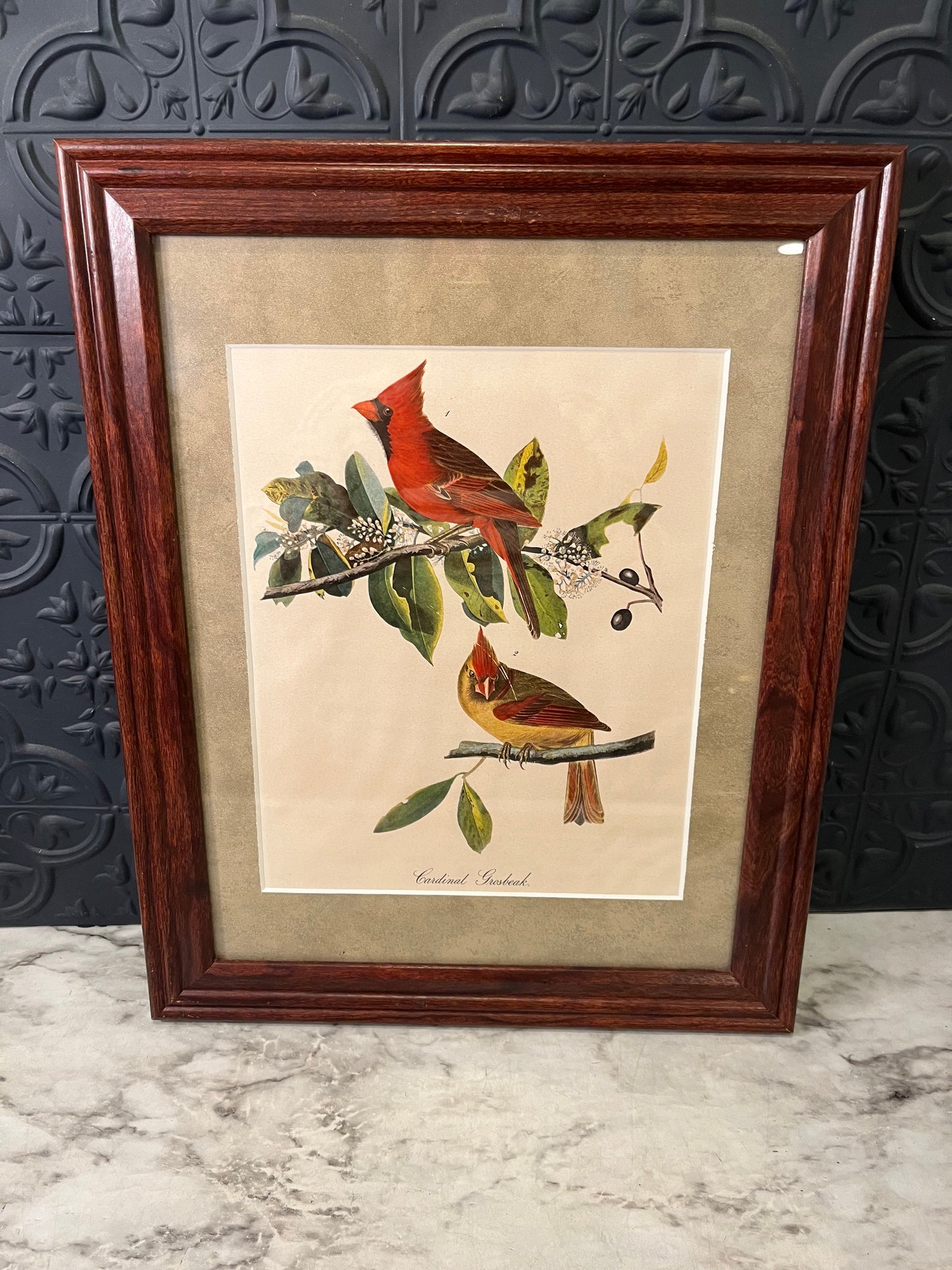 Cardinal Grosbeak Print in Cherry Frame