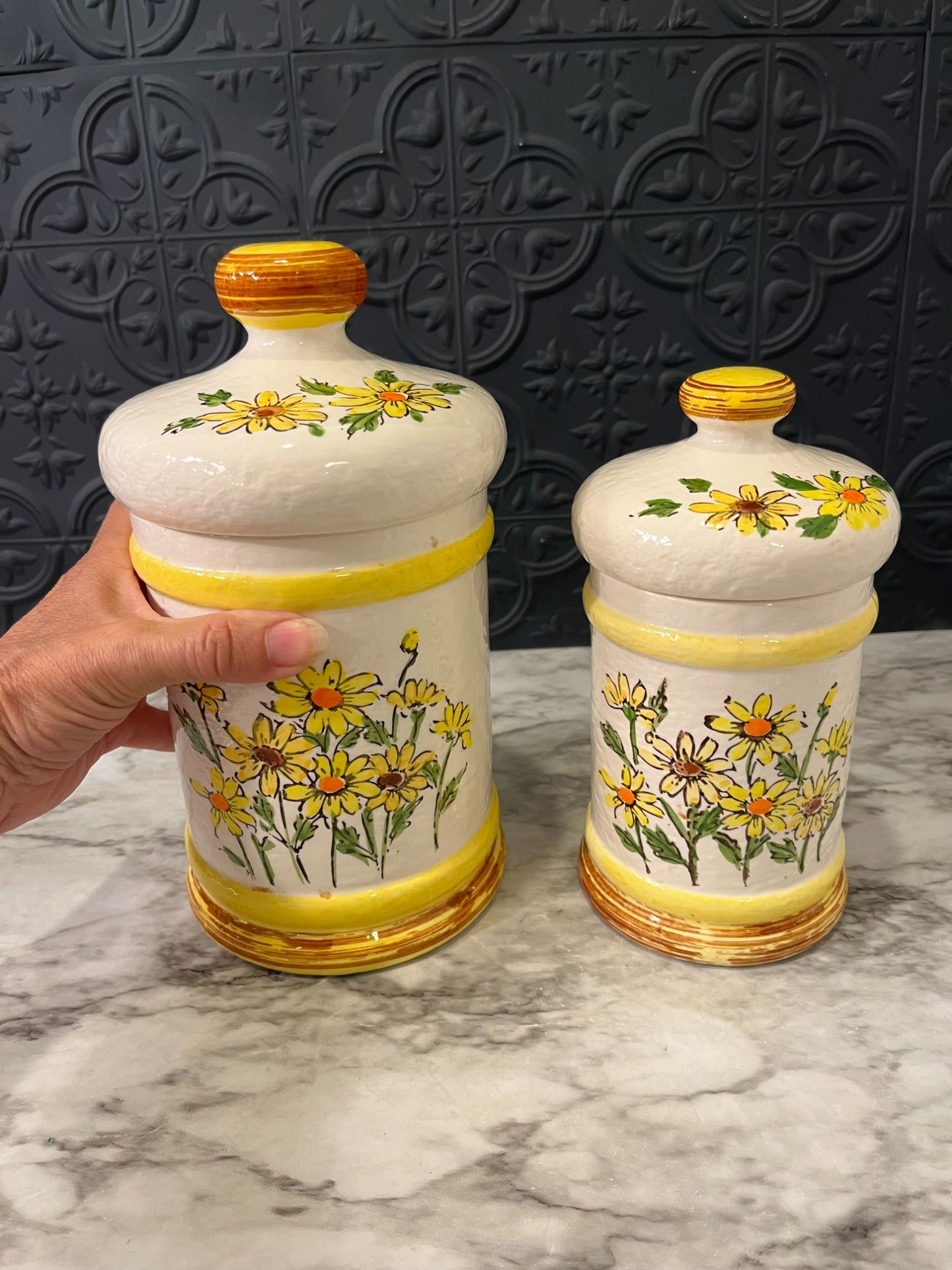 Sears and Roebuck Daisy  Canisters