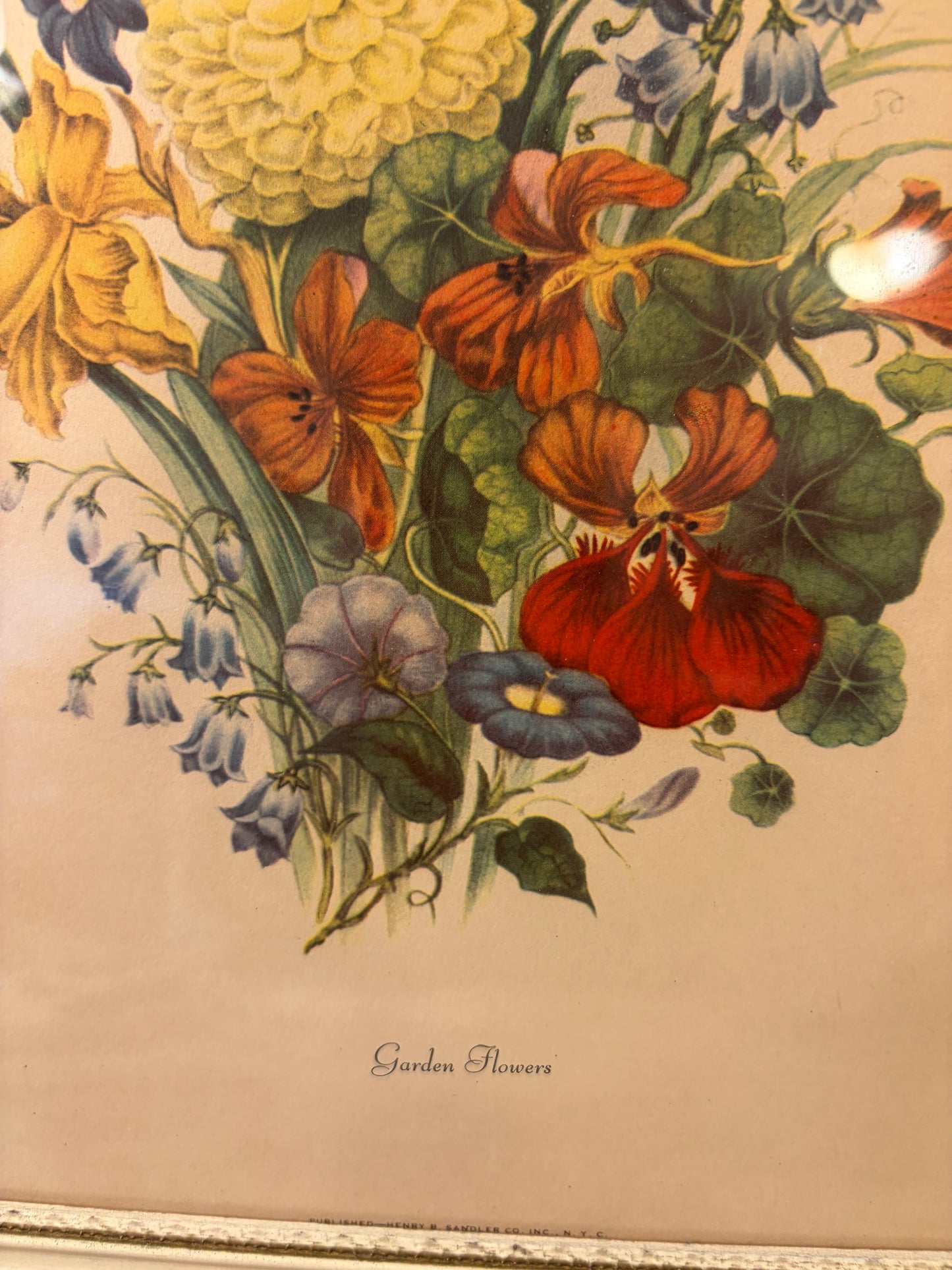 Garden Flowers Prevost Print Framed