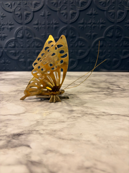 Brass Butterfly with Antennae
