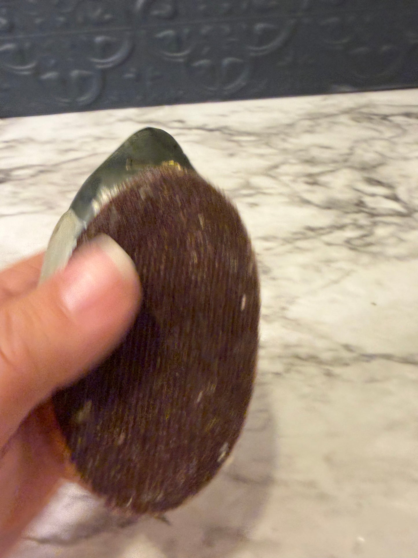Jasco Ceramic Duck Lint Remover